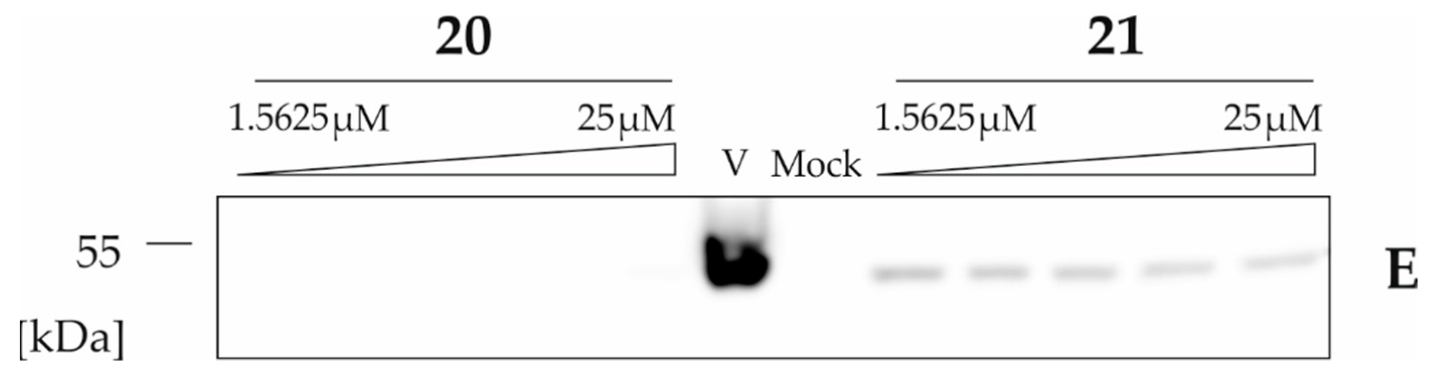 Pharmaceuticals 13 00460 g006 Pharmaceuticals 13 00460 g006