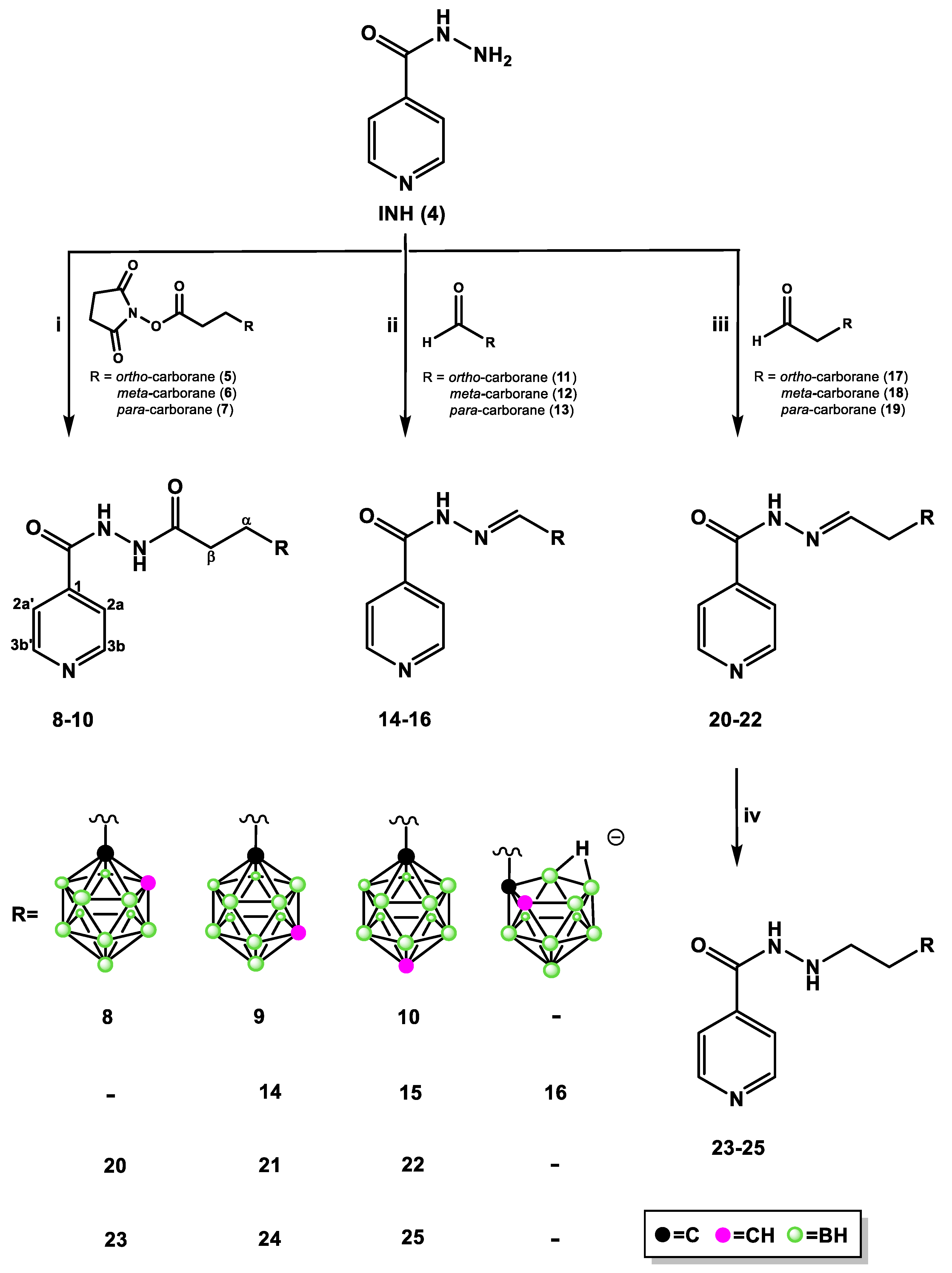 Pharmaceuticals 13 00465 g003