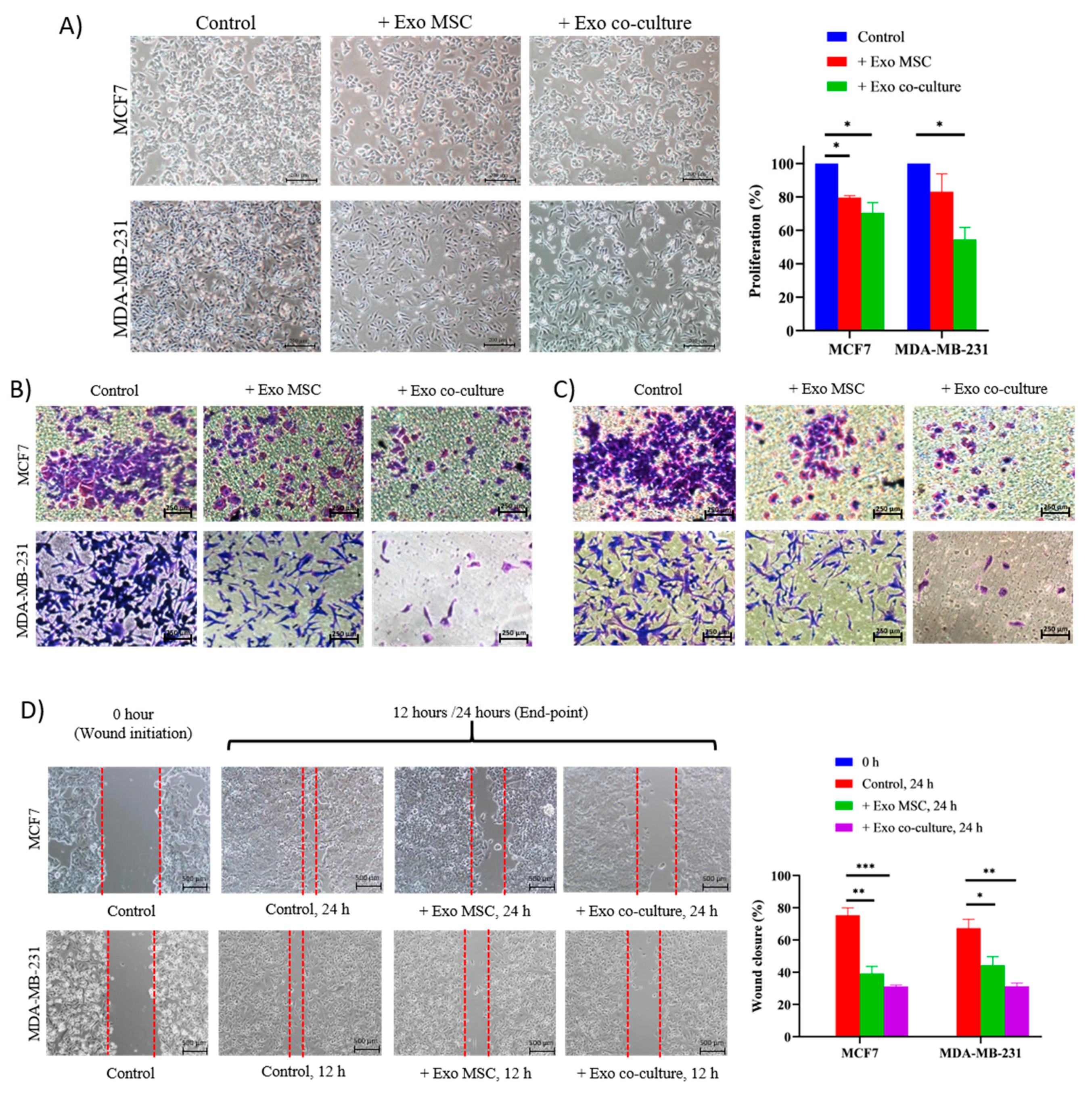 Download Pharmaceuticals Free Full Text Adipose Mscs Suppress Mcf7 And Mda Mb 231 Breast Cancer Metastasis And Emt Pathways Leading To Dormancy Via Exosomal Mirnas Following Co Culture Interaction Html