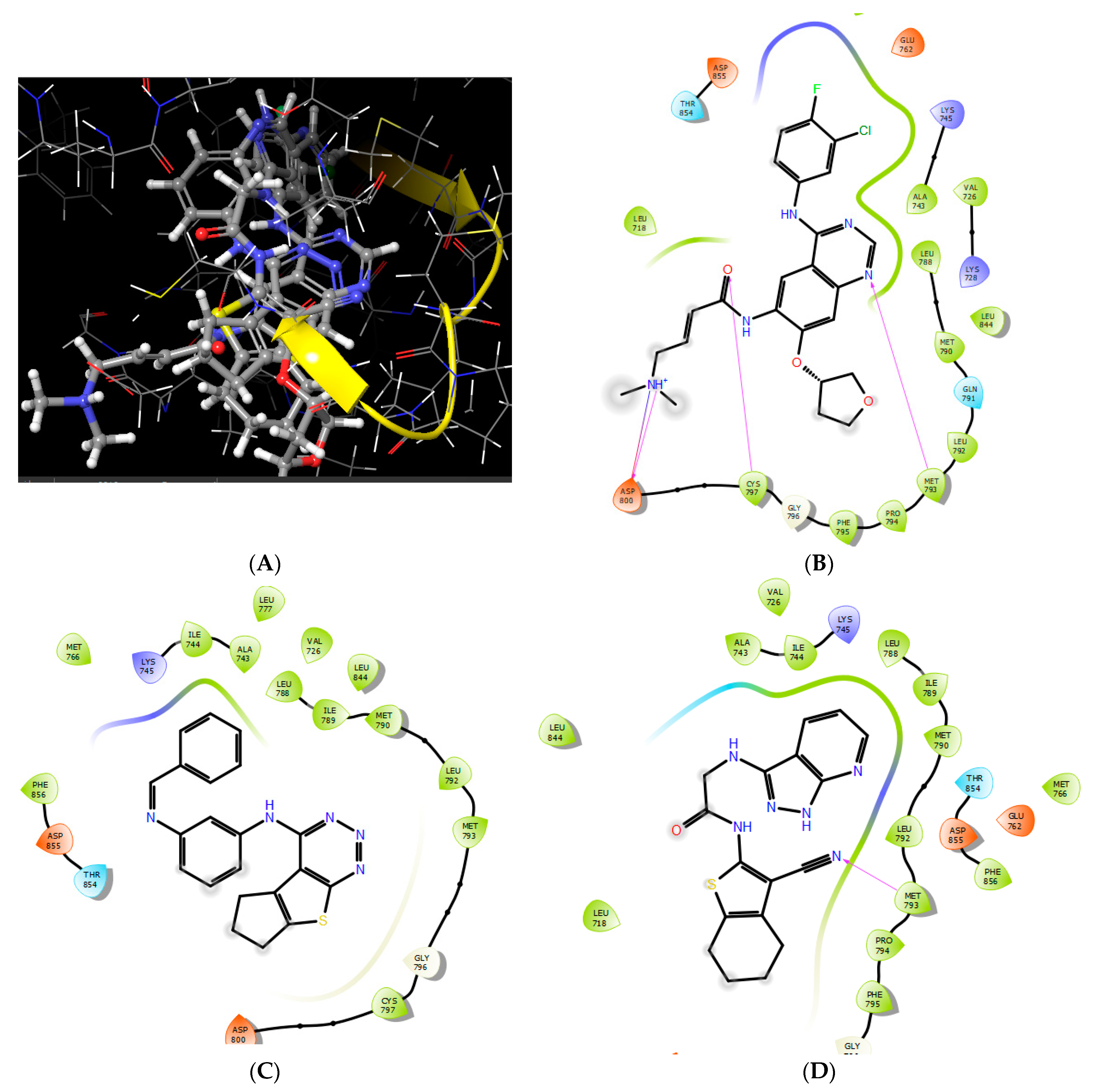 Pharmaceuticals 14 00009 g006 Pharmaceuticals 14 00009 g006