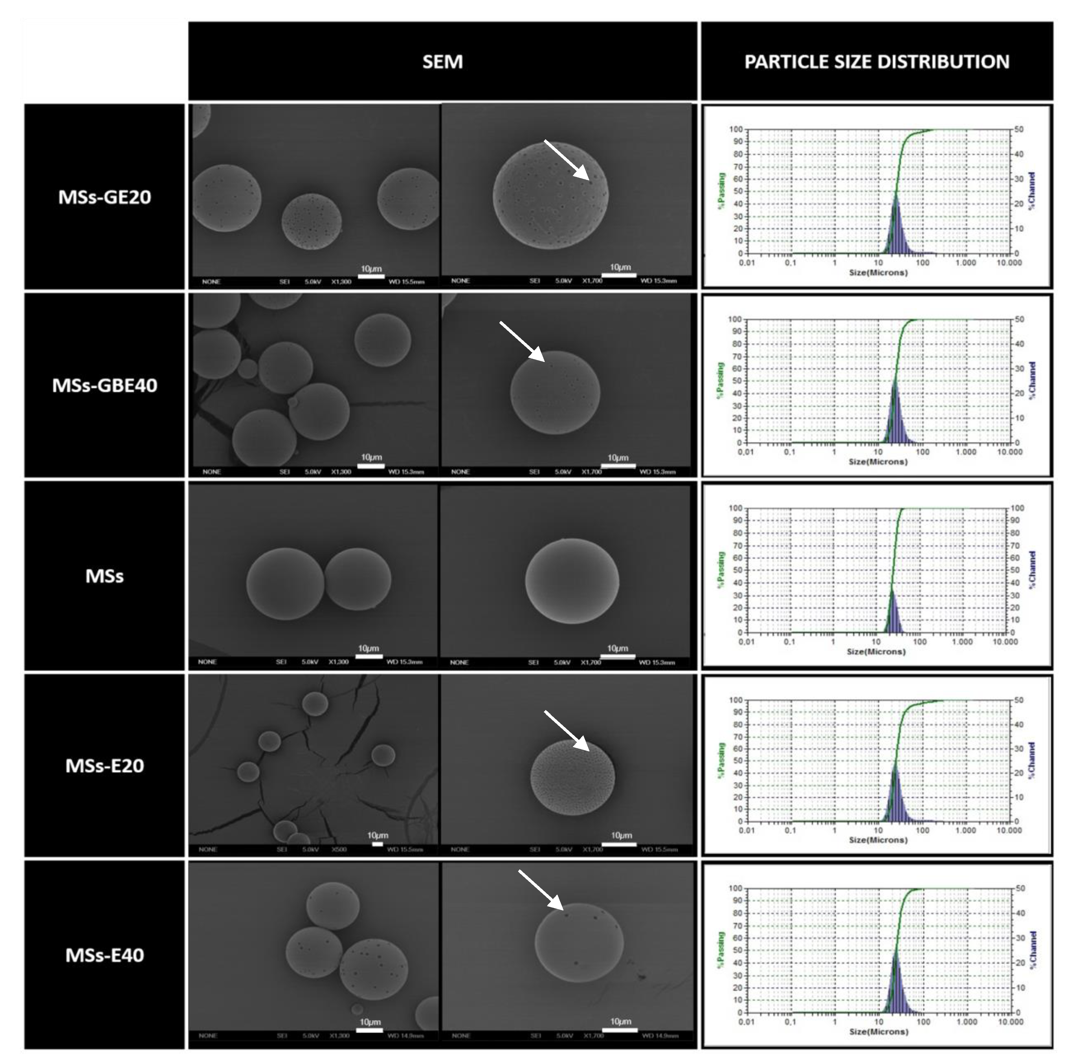 Pharmaceuticals Free Full Text A Safe Gdnf And Gdnf nf Controlled Delivery System Improves Migration In Human Retinal Pigment Epithelial Cells And Survival In Retinal Ganglion Cells Potential Usefulness In Degenerative Retinal