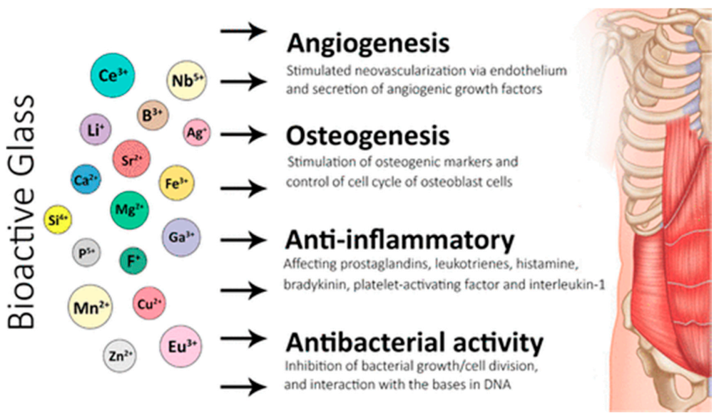 Pharmaceuticals 14 00075 g001 Pharmaceuticals 14 00075 g001