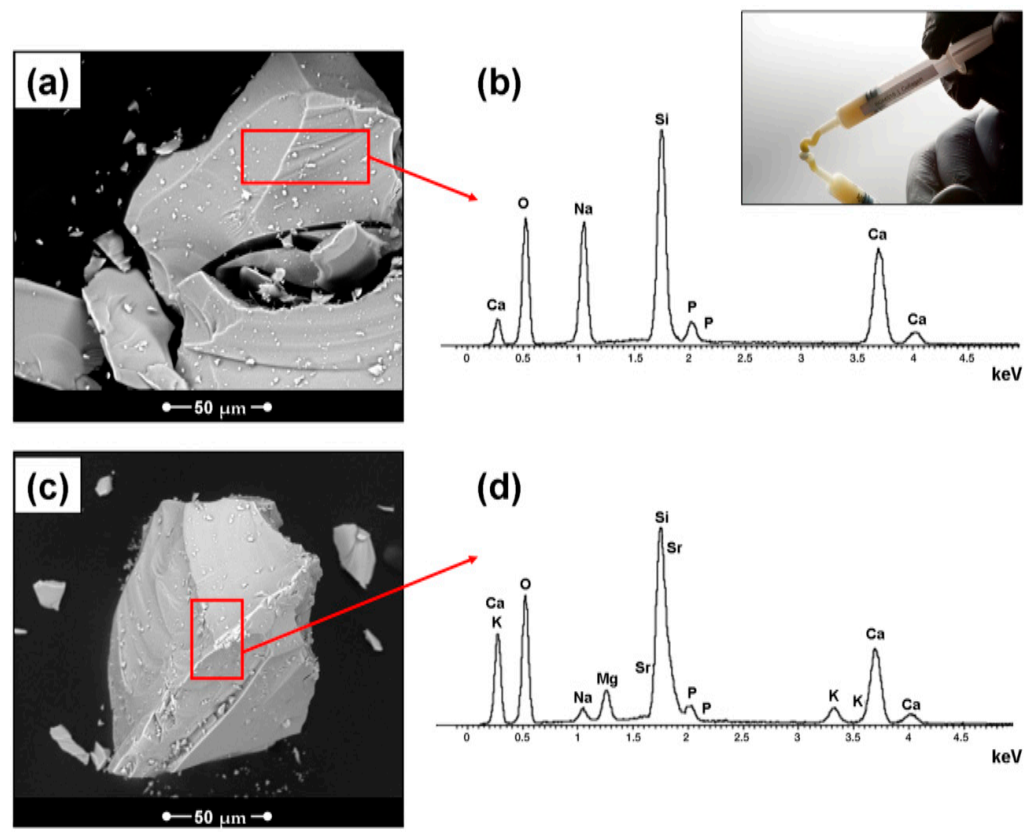 Pharmaceuticals 14 00075 g003 Pharmaceuticals 14 00075 g003