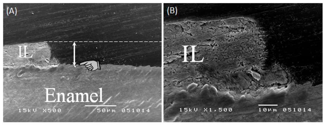 Pharmaceuticals 14 00075 g004 Pharmaceuticals 14 00075 g004