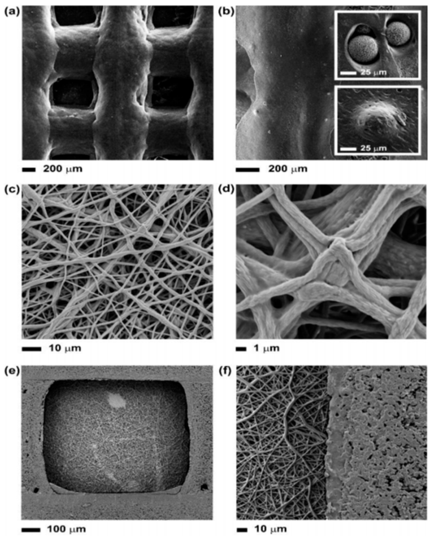 Pharmaceuticals 14 00075 g007 Pharmaceuticals 14 00075 g007