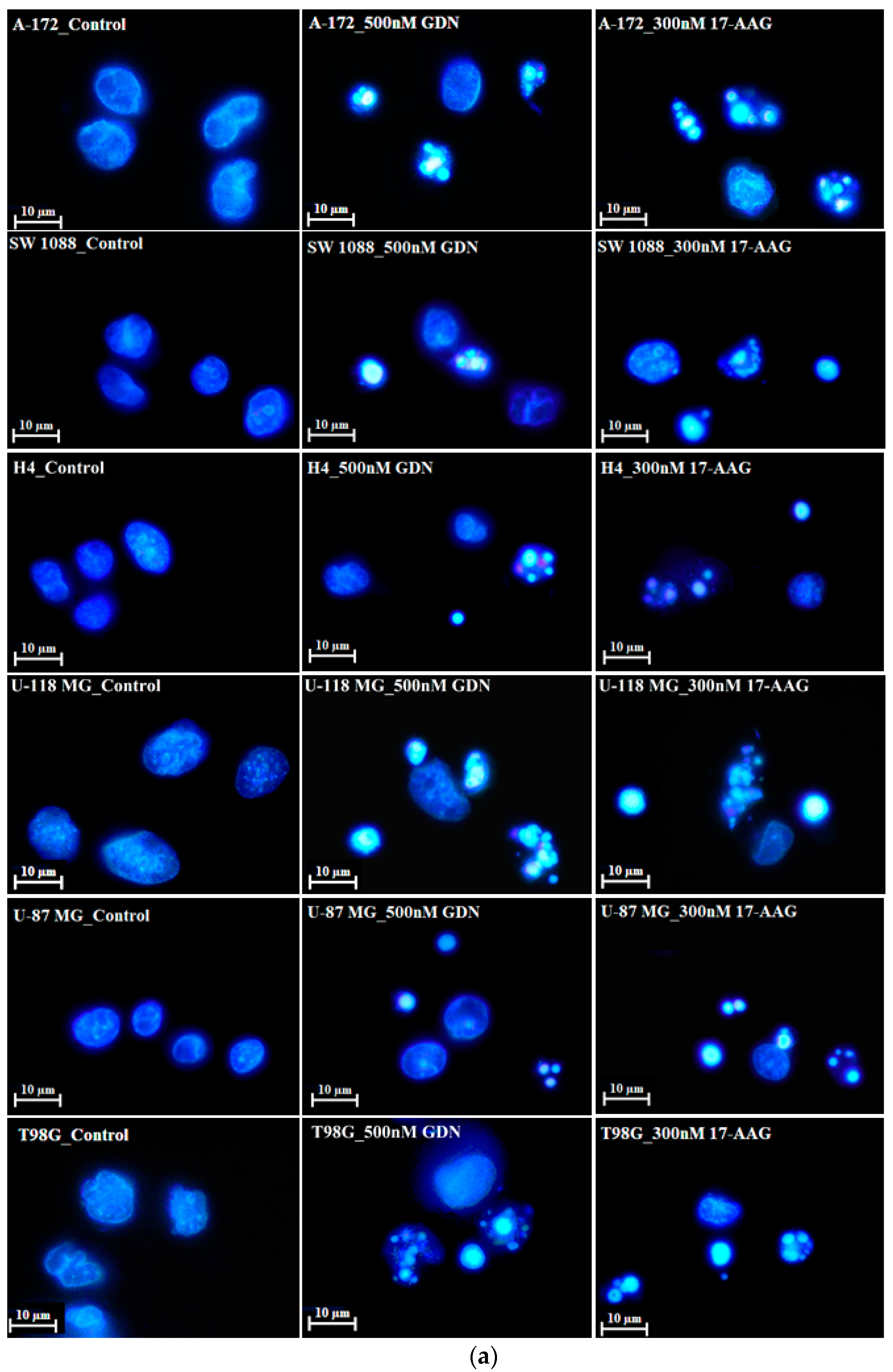 Pharmaceuticals 14 00107 g002a Pharmaceuticals 14 00107 g002a