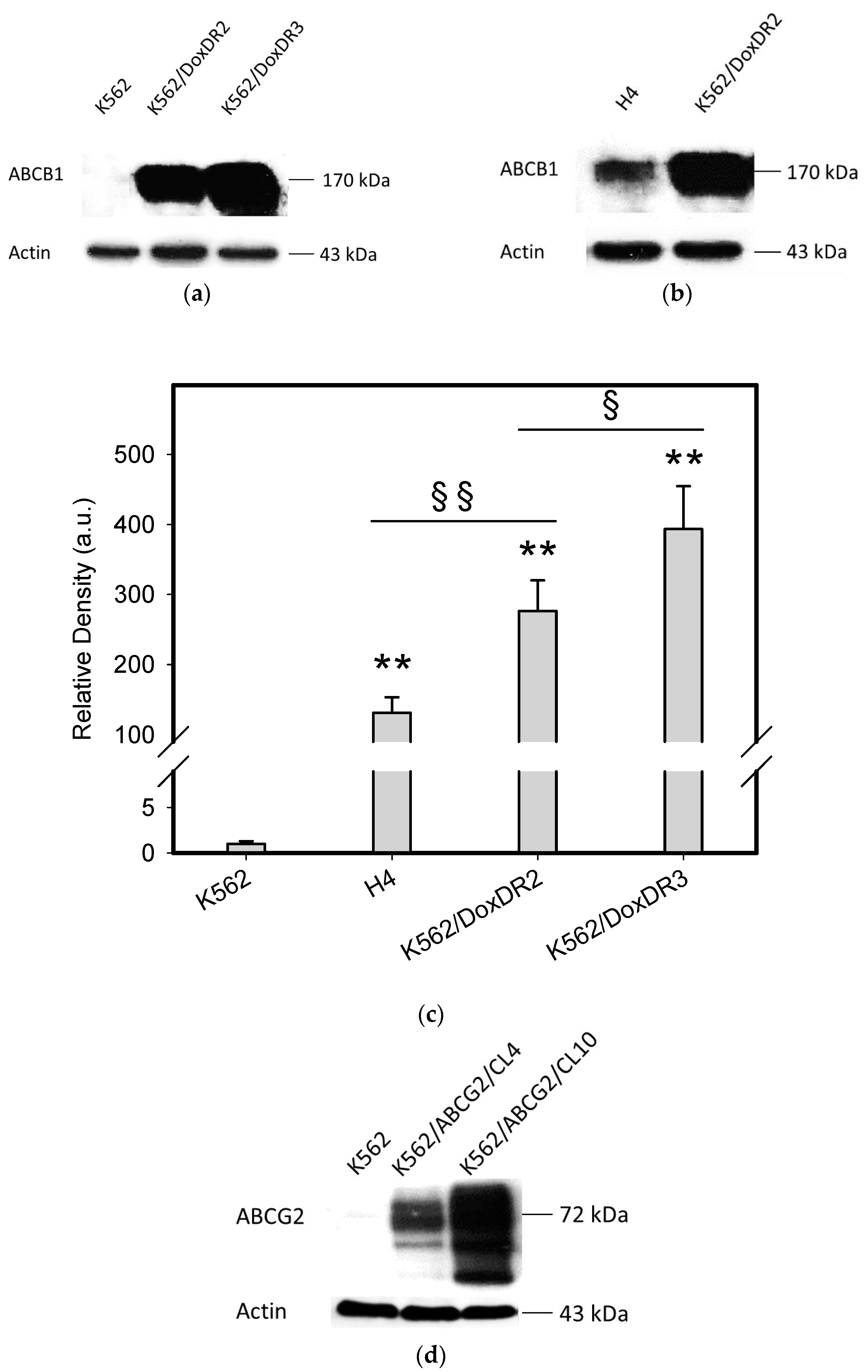 Pharmaceuticals 14 00107 g003a Pharmaceuticals 14 00107 g003a