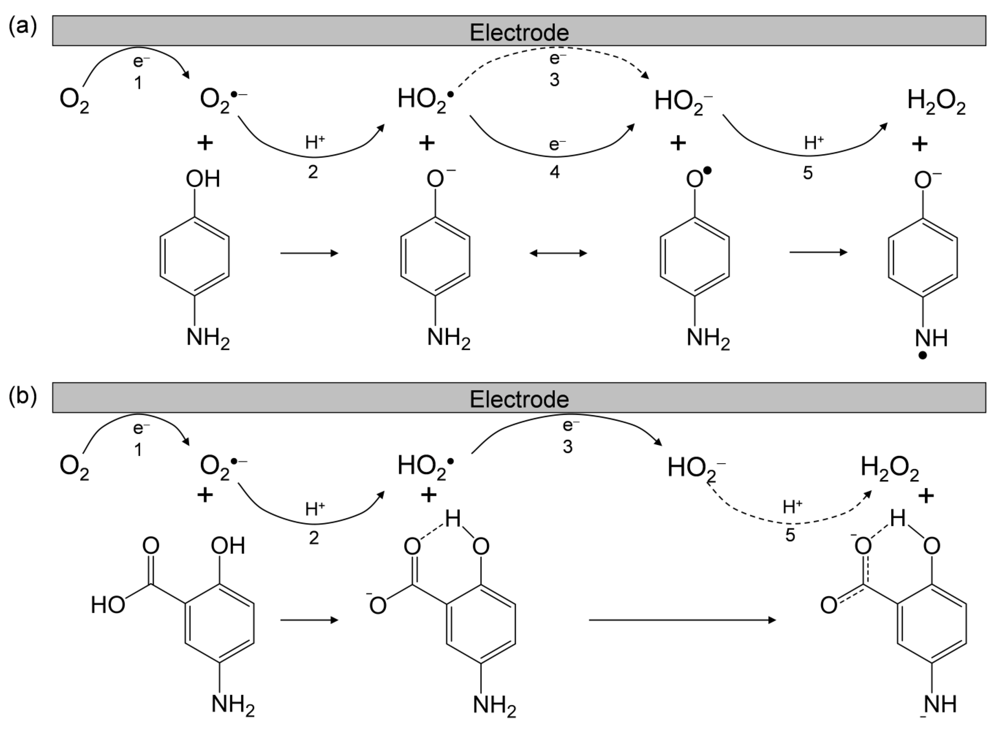 Pharmaceuticals 14 00120 g003