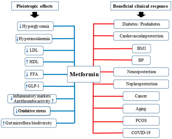 Pharmaceuticals | Free Full-Text | The Current and Potential Therapeutic  Use of Metformin—The Good Old Drug