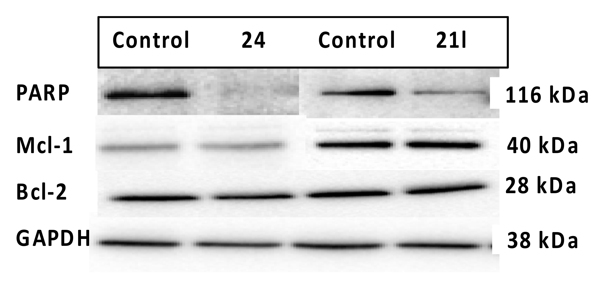 Pharmaceuticals 14 00169 g012