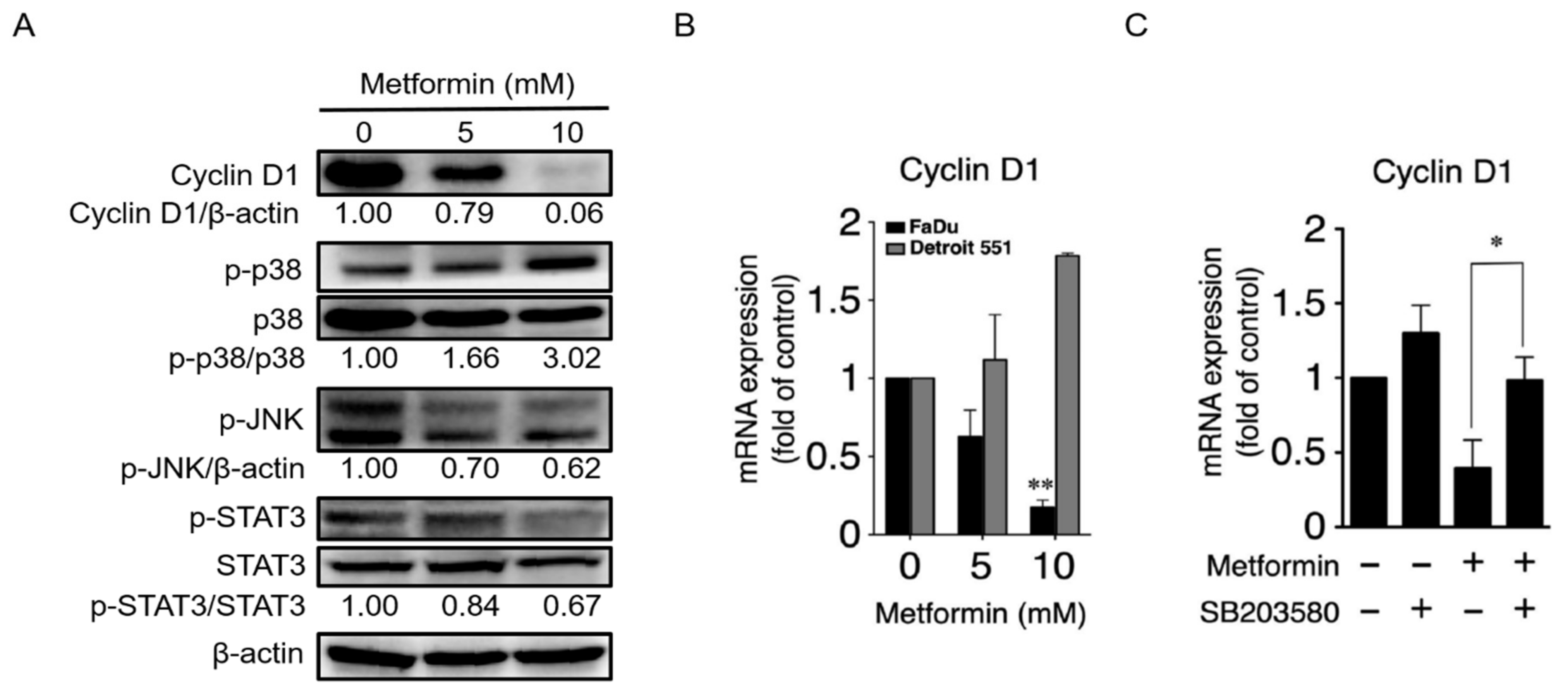 Pharmaceuticals 14 00191 g003 Pharmaceuticals 14 00191 g003
