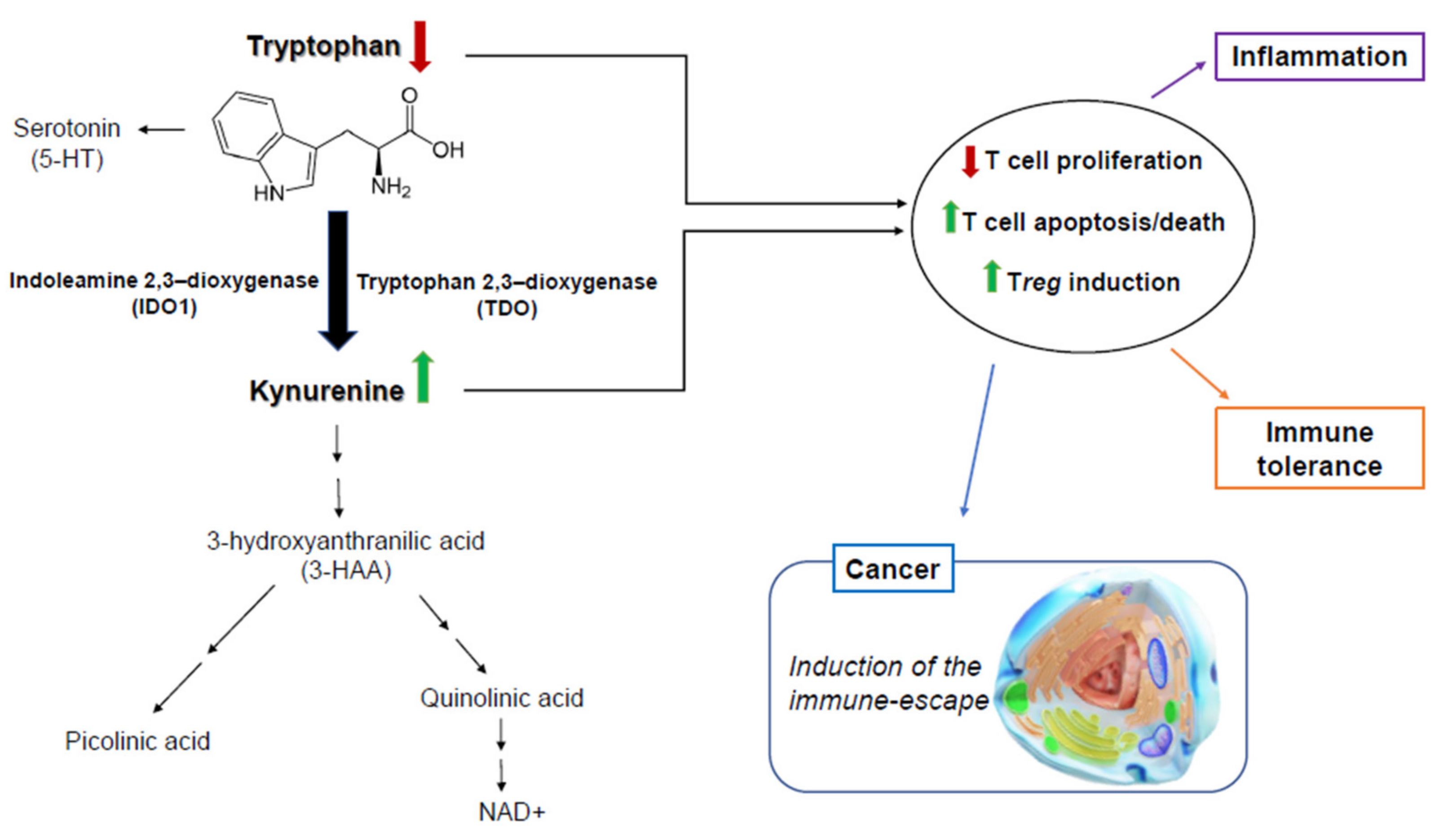 Pharmaceuticals 14 00211 g001 Pharmaceuticals 14 00211 g001