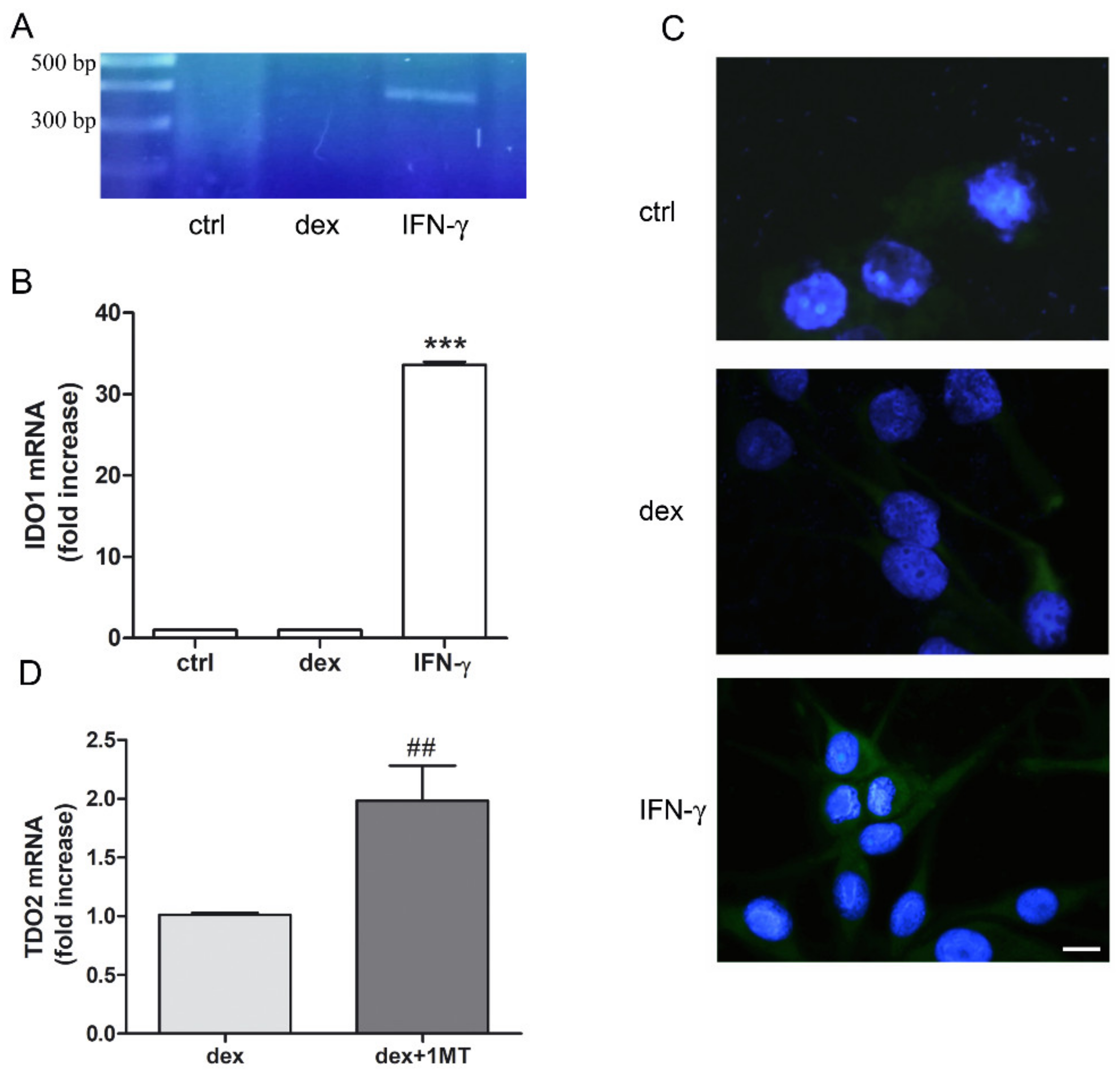 Pharmaceuticals 14 00211 g003 Pharmaceuticals 14 00211 g003