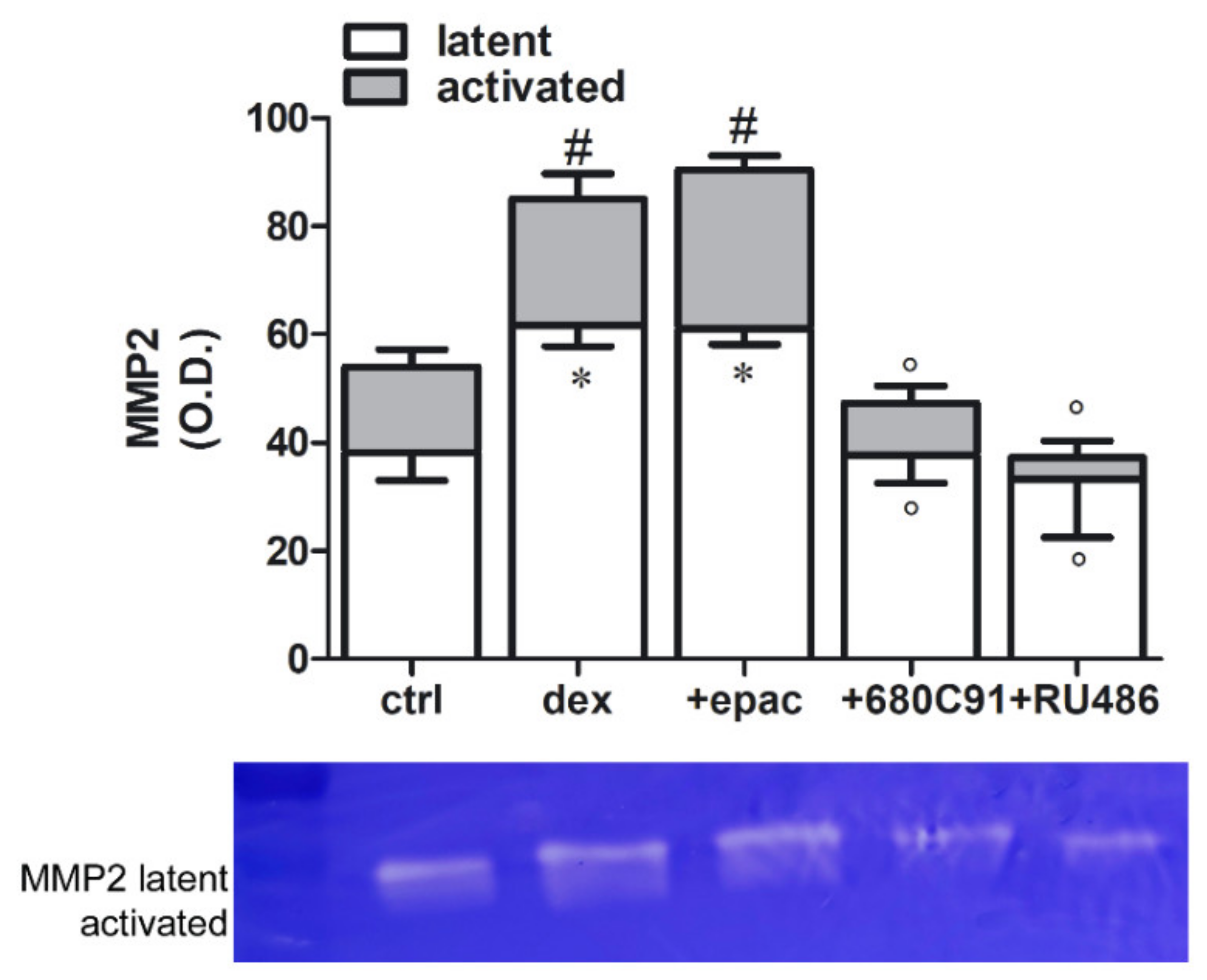 Pharmaceuticals 14 00211 g008 Pharmaceuticals 14 00211 g008