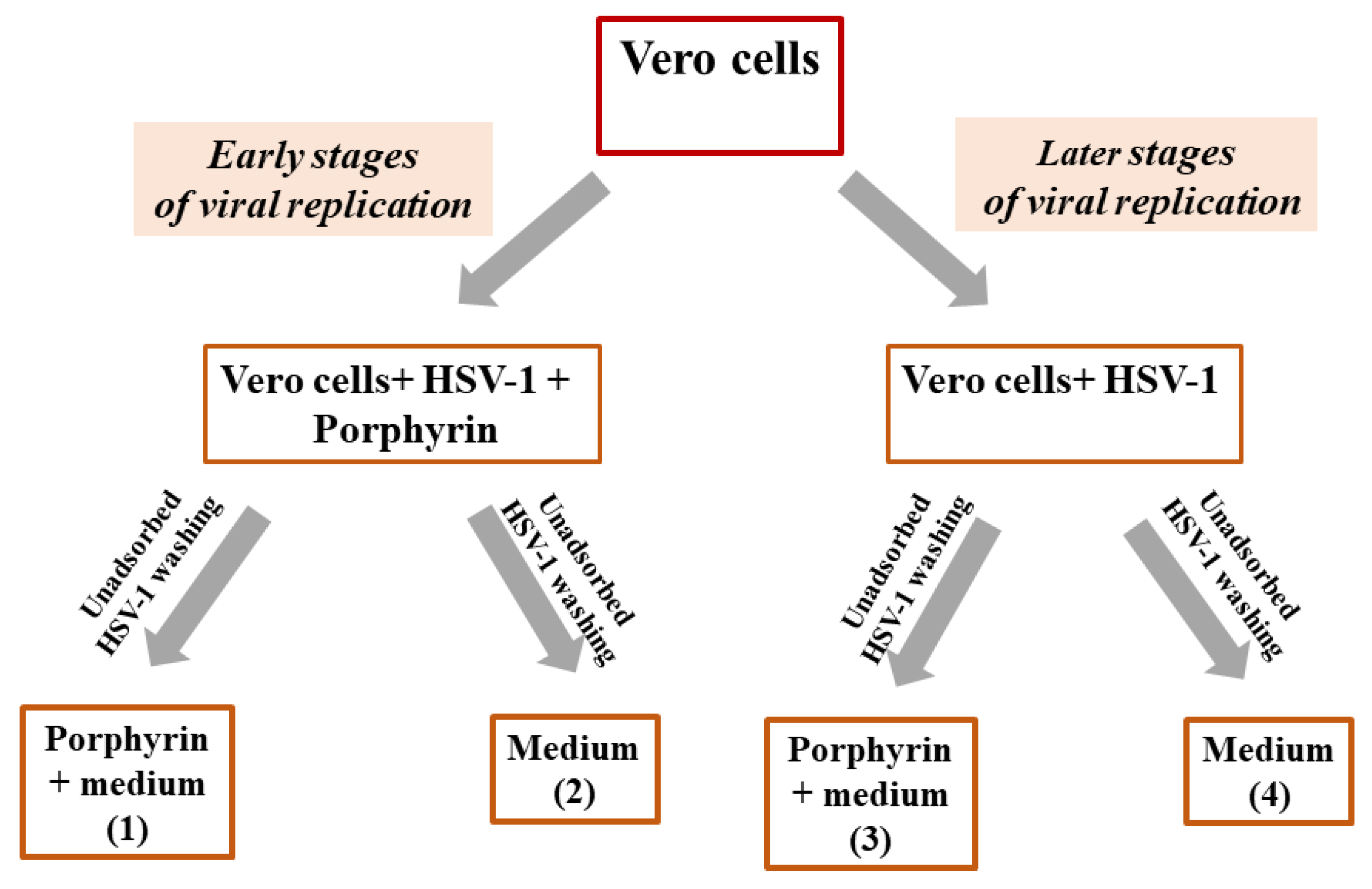 Pharmaceuticals 14 00242 g006 Pharmaceuticals 14 00242 g006