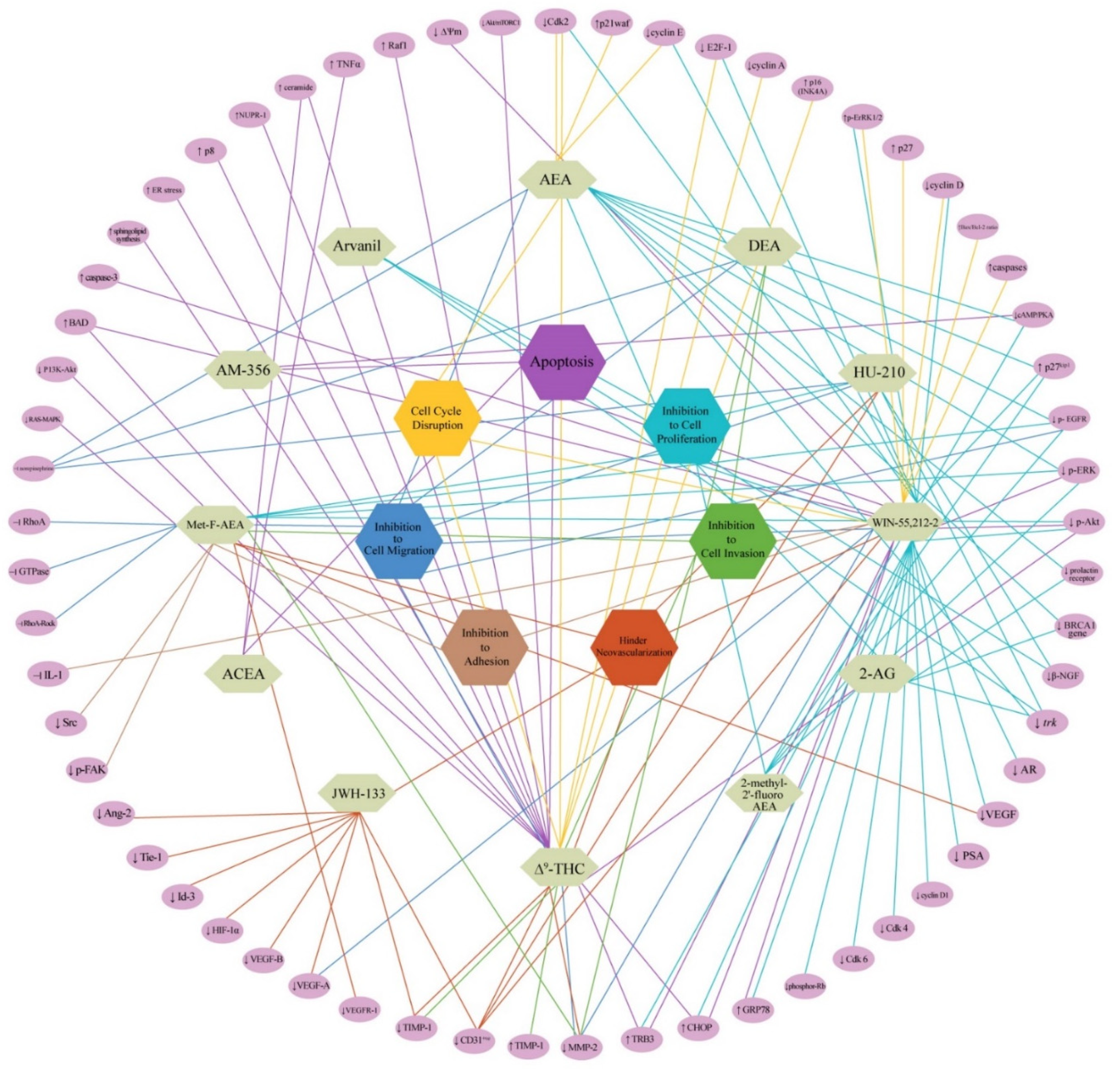 Pharmaceuticals 14 00255 g005 Pharmaceuticals 14 00255 g005