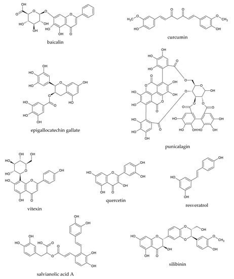 Pharmaceuticals Free Full Text Plant Phenolics And Extracts In Animal Models Of Preeclampsia And Clinical Trials Review Of Perspectives For Novel Therapies Html