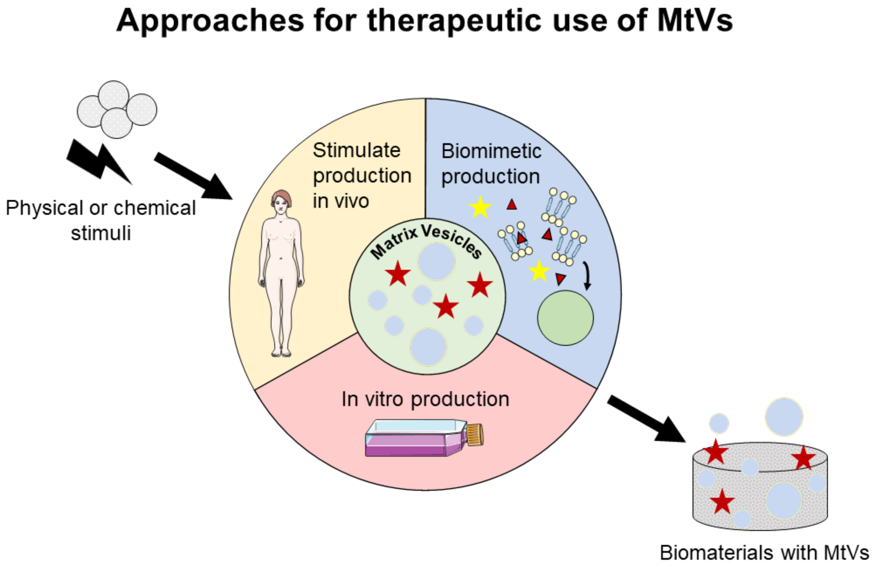 Pharmaceuticals 14 00289 g003 Pharmaceuticals 14 00289 g003