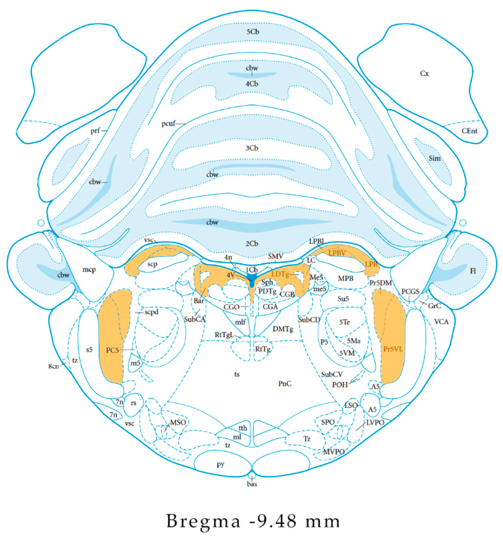 Pharmaceuticals 14 00293 g001