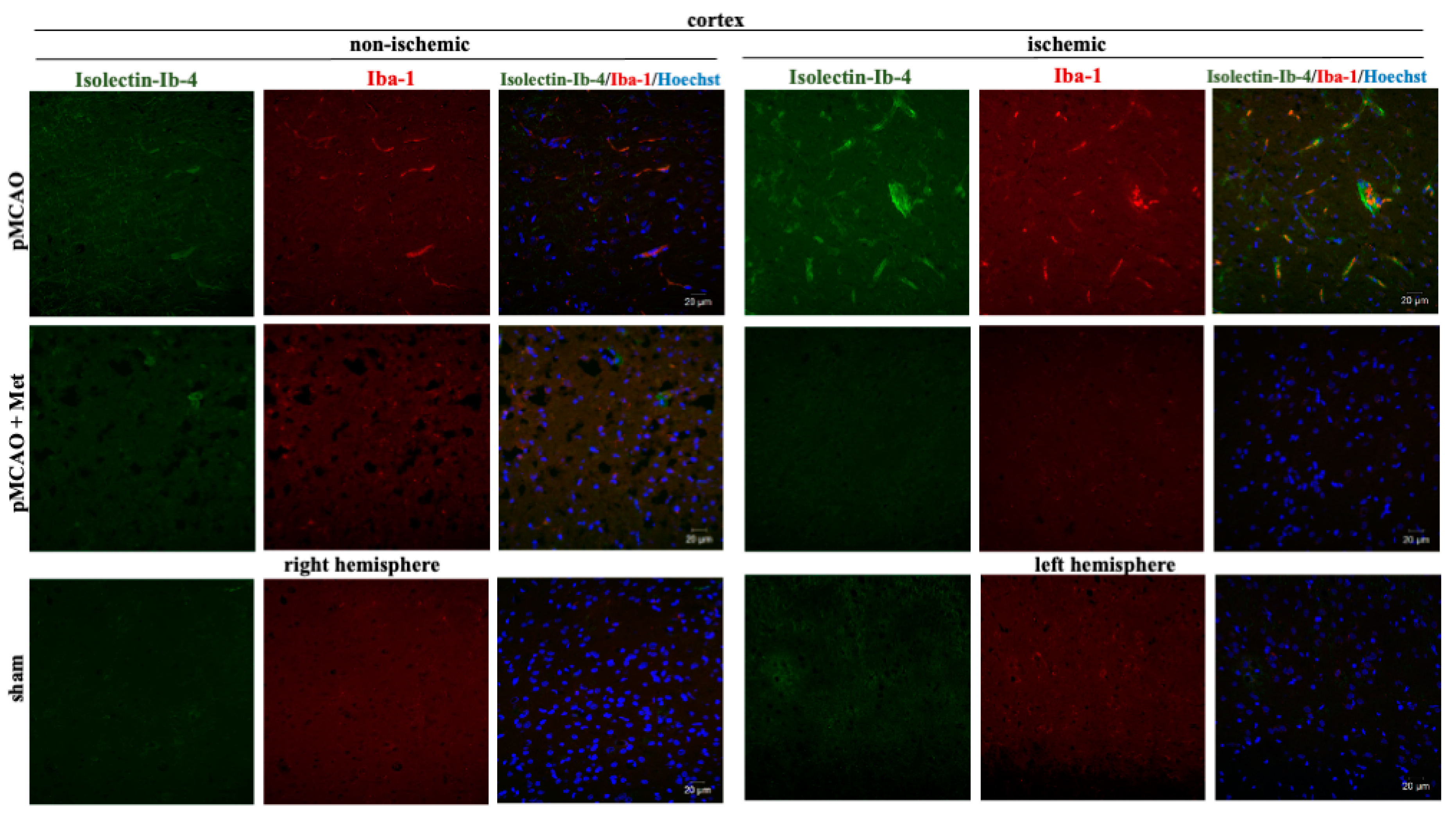 Pharmaceuticals 14 00312 g005