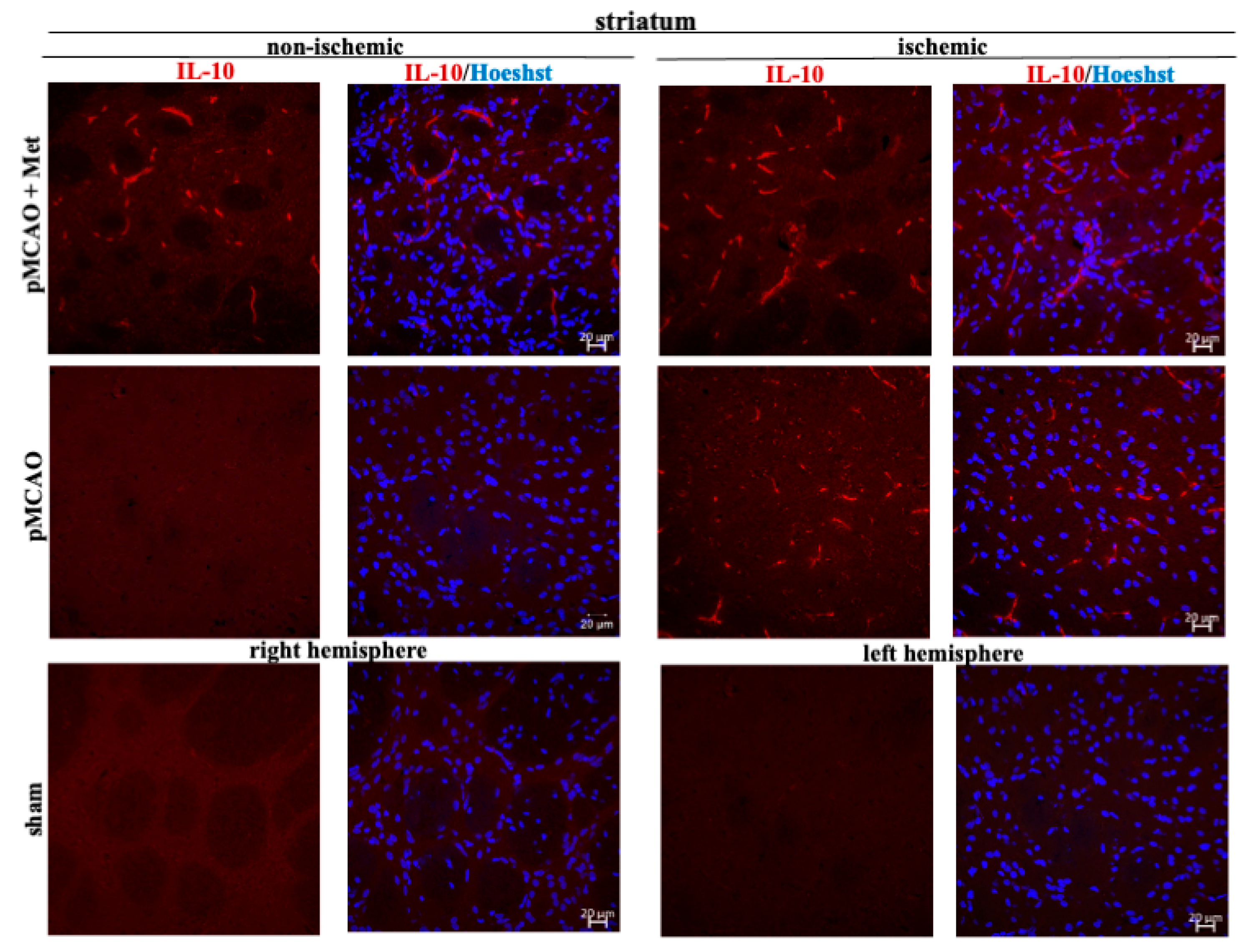 Pharmaceuticals 14 00312 g009