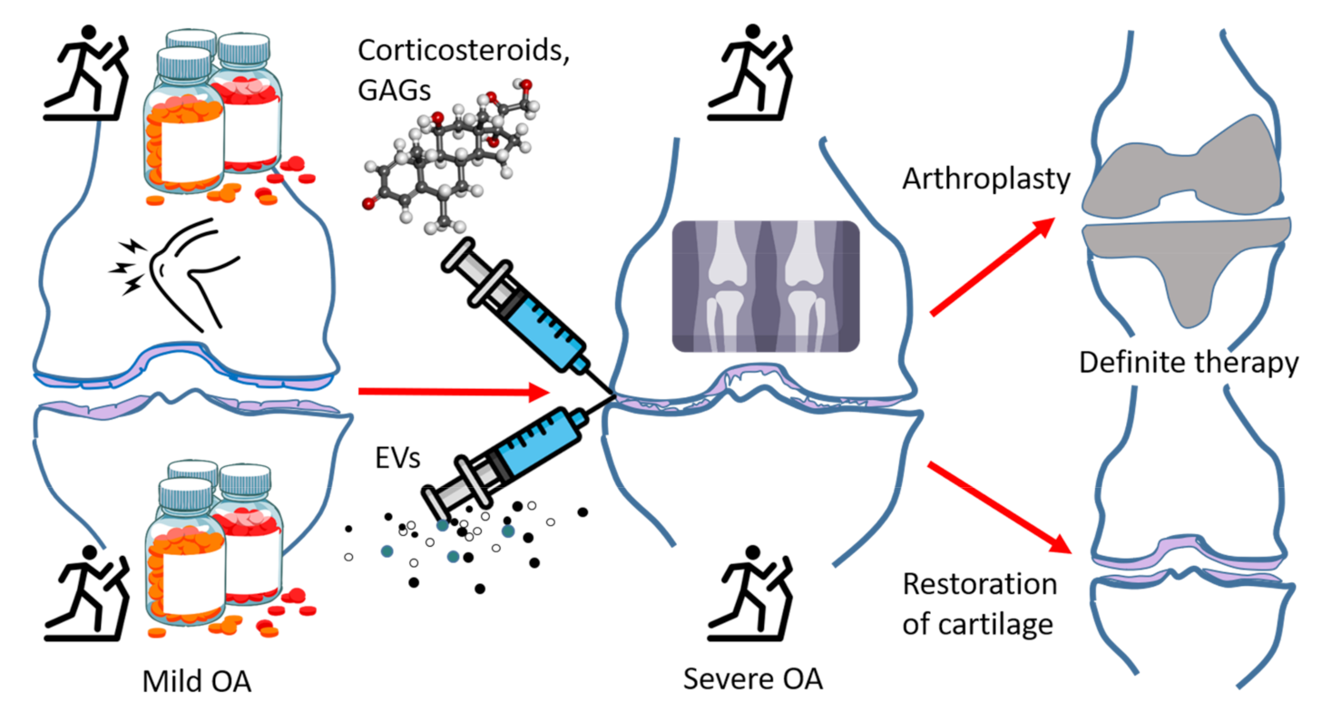 Pharmaceuticals 14 00315 g002 Pharmaceuticals 14 00315 g002