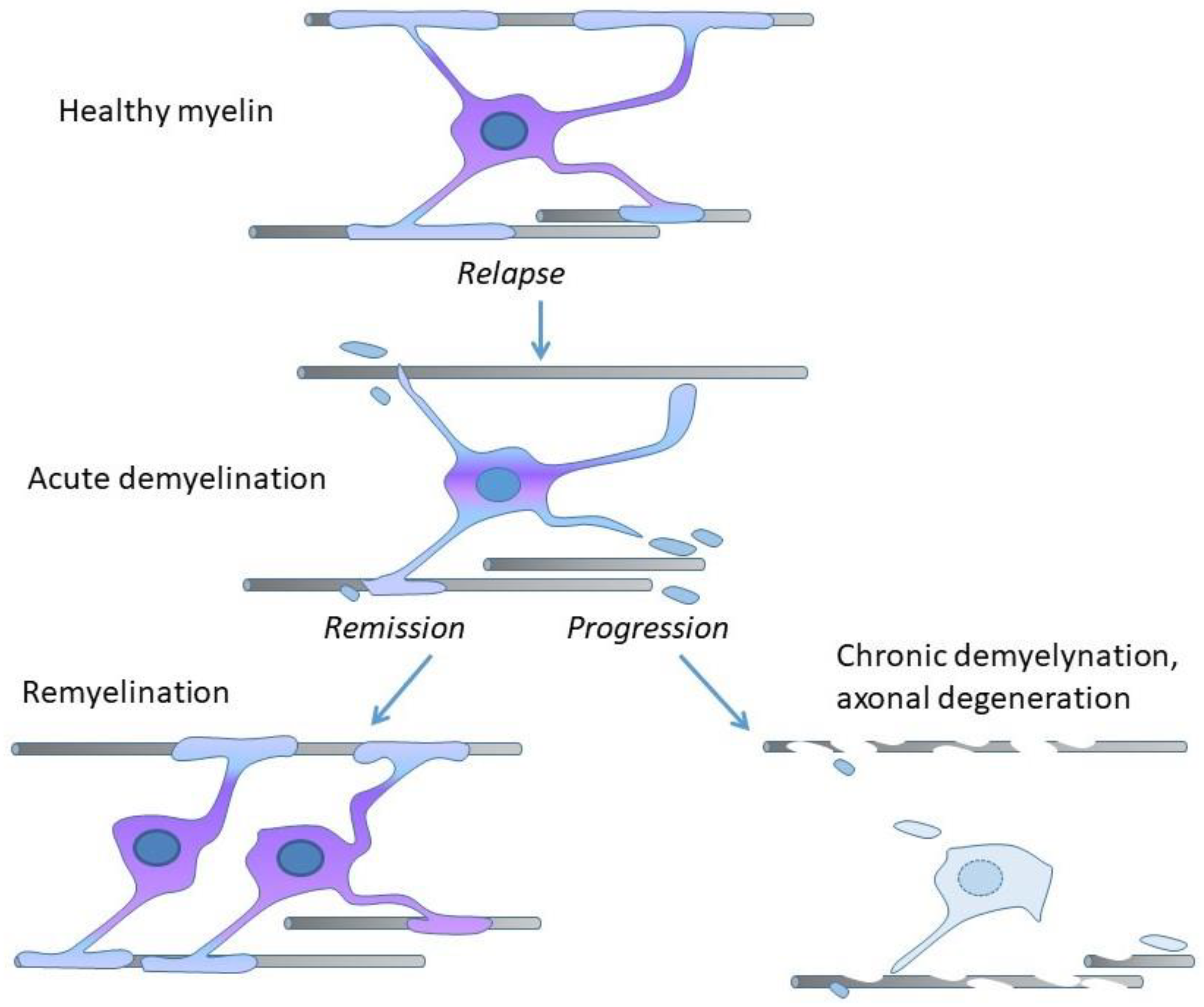 Pharmaceuticals 14 00326 g002