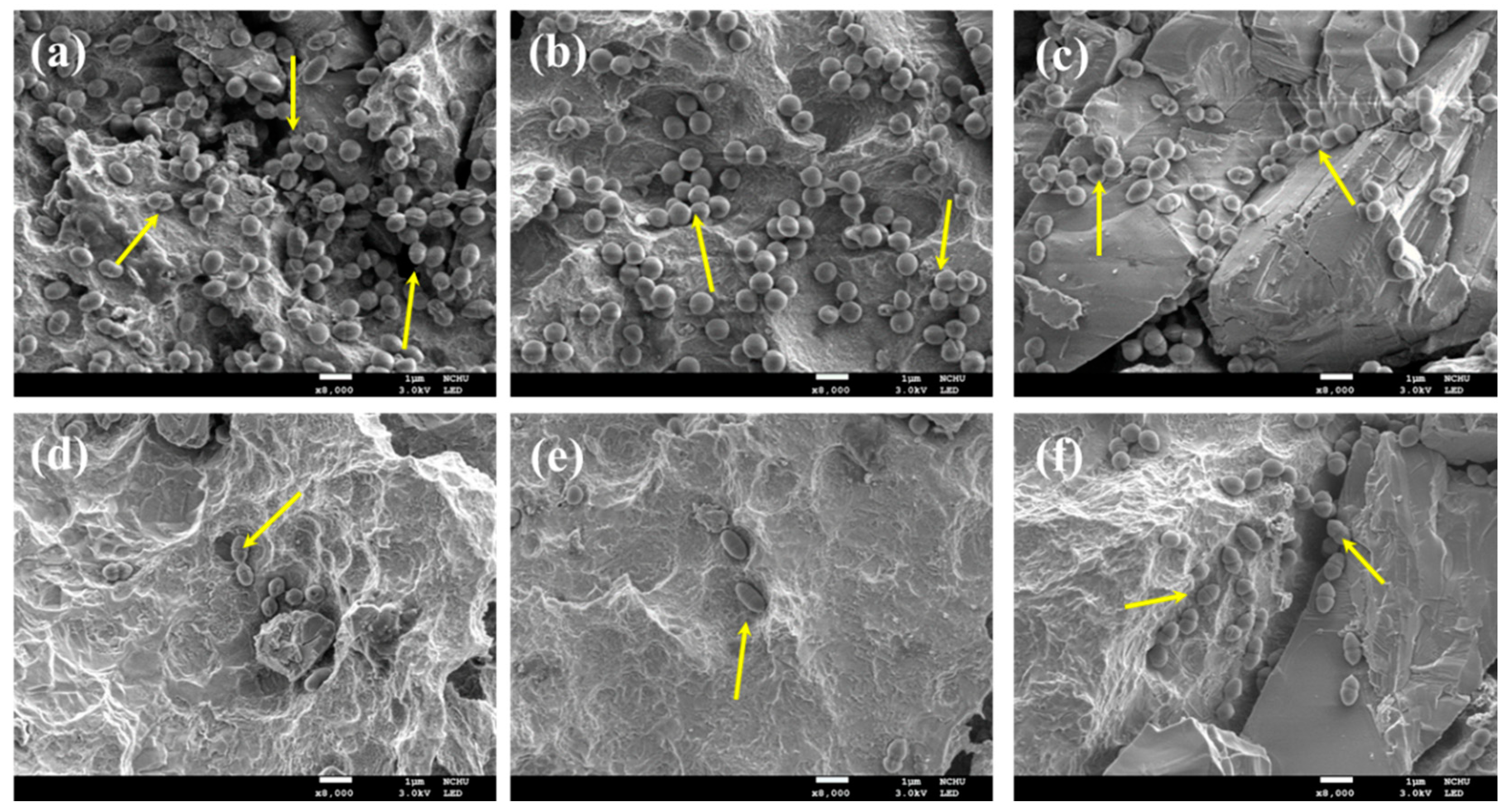 Pharmaceuticals 14 00346 g005