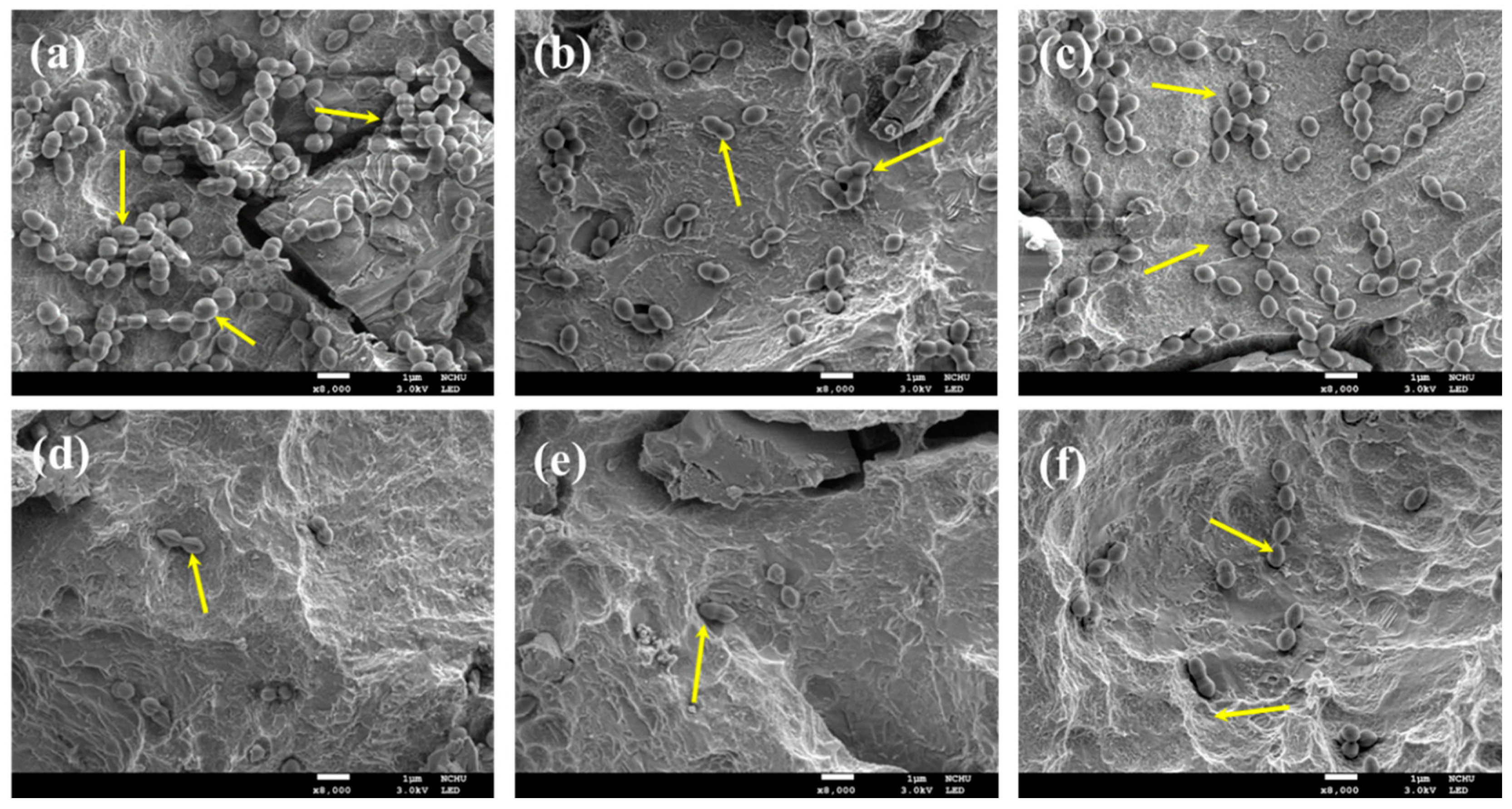 Pharmaceuticals 14 00346 g006