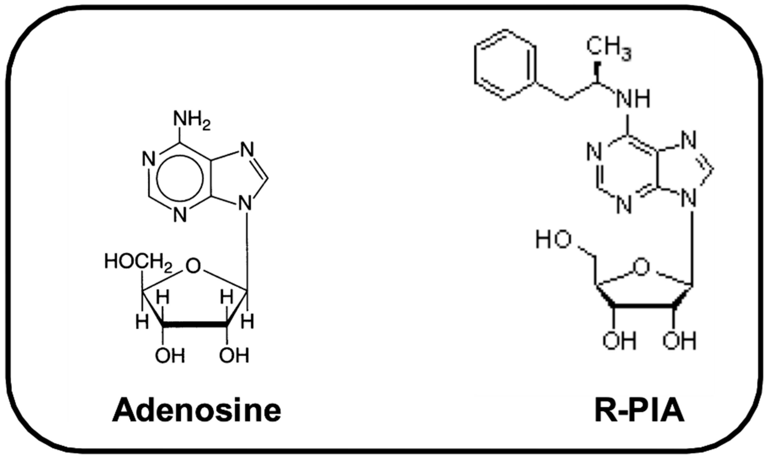 Pharmaceuticals 14 00376 g001 Pharmaceuticals 14 00376 g001