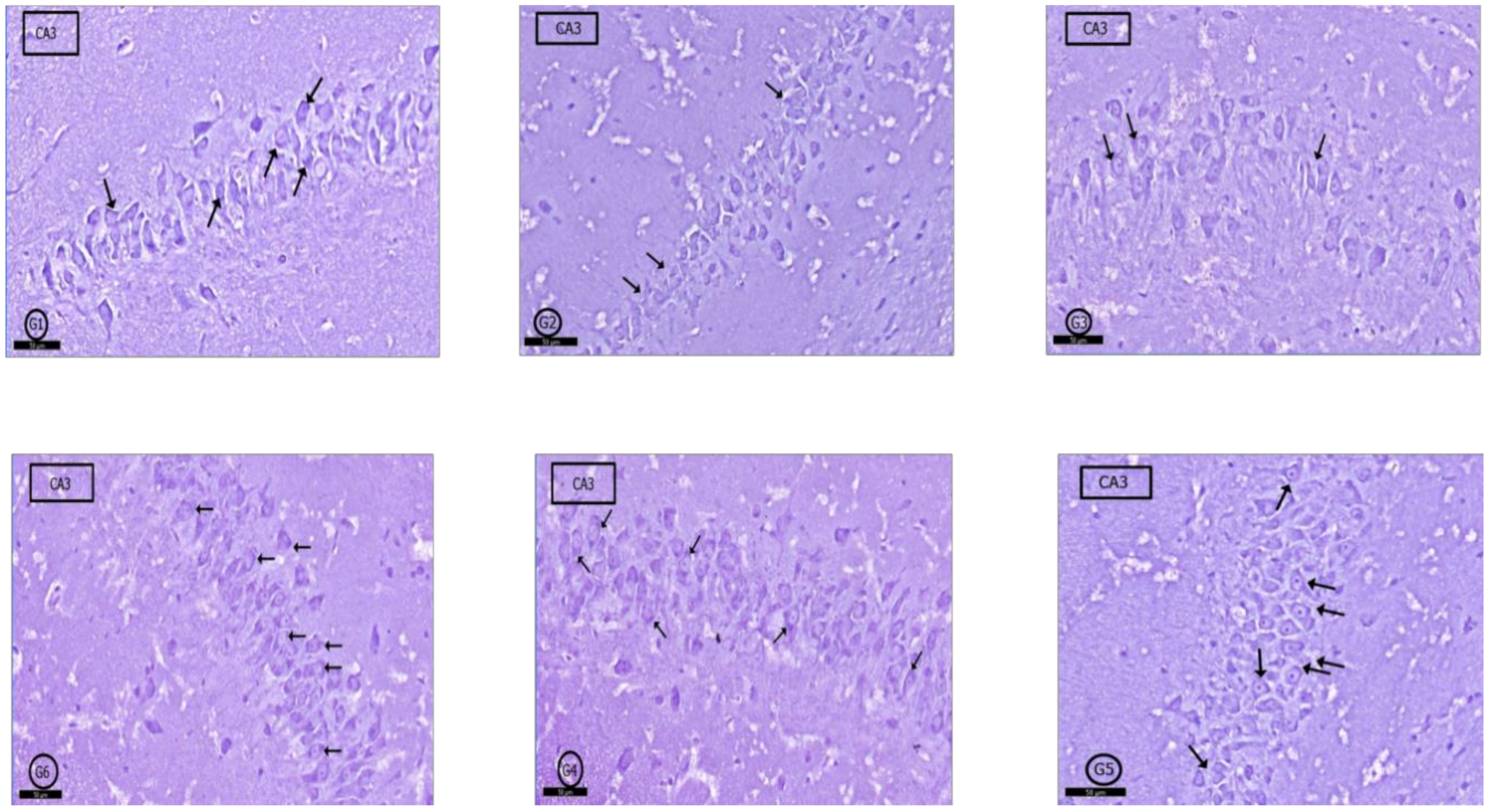 Pharmaceuticals 14 00380 g007 Pharmaceuticals 14 00380 g007