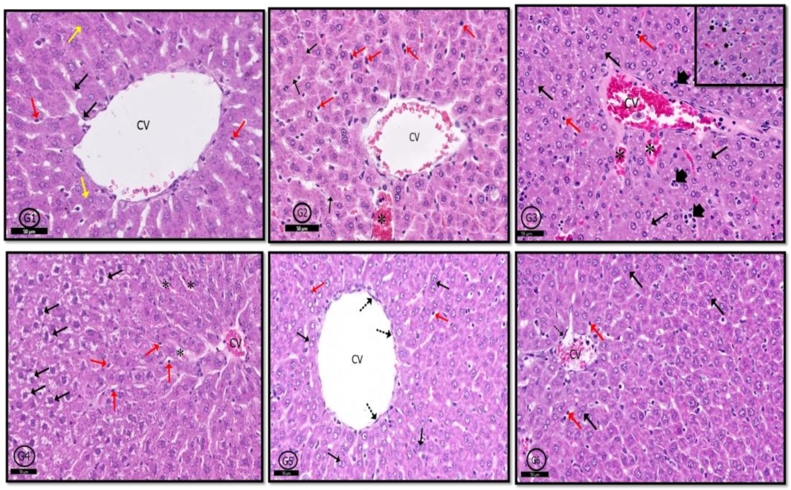 Pharmaceuticals 14 00380 g008 Pharmaceuticals 14 00380 g008