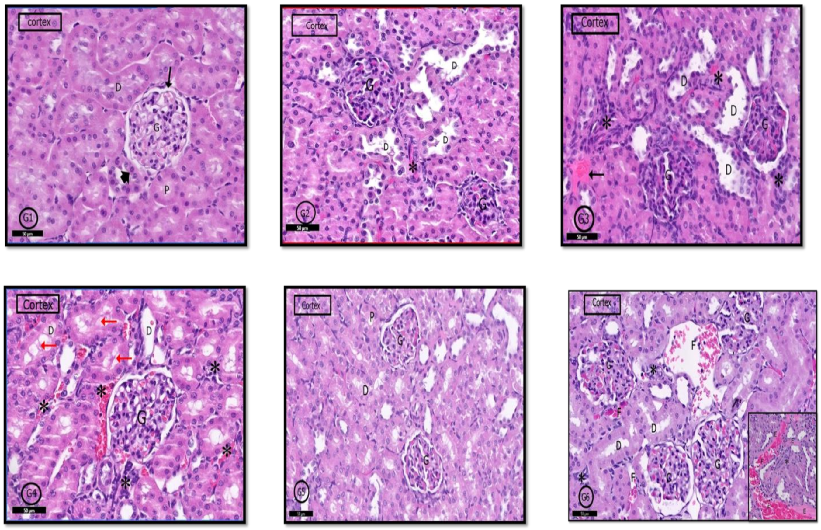 Pharmaceuticals 14 00380 g009 Pharmaceuticals 14 00380 g009