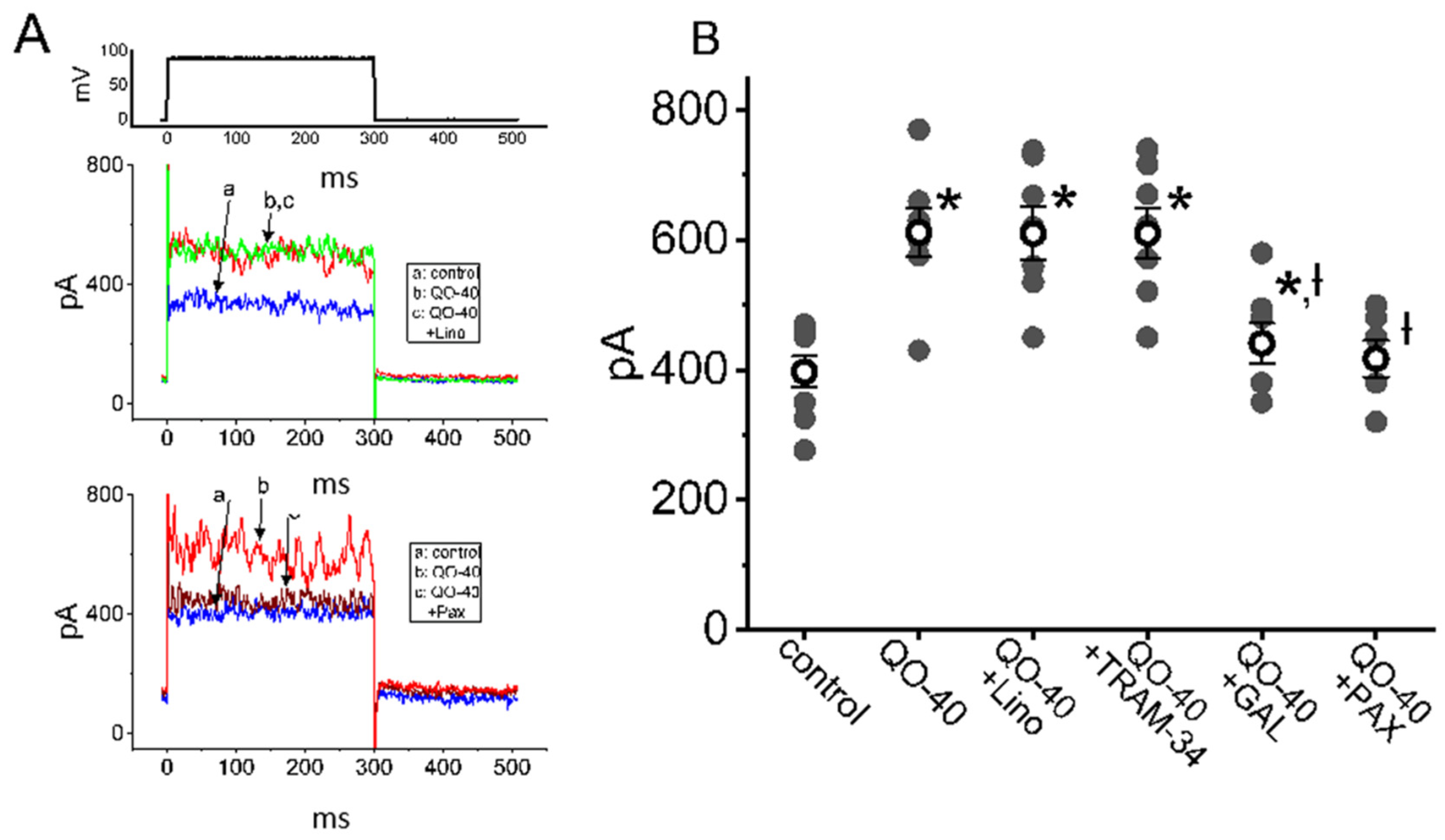 Pharmaceuticals 14 00388 g003