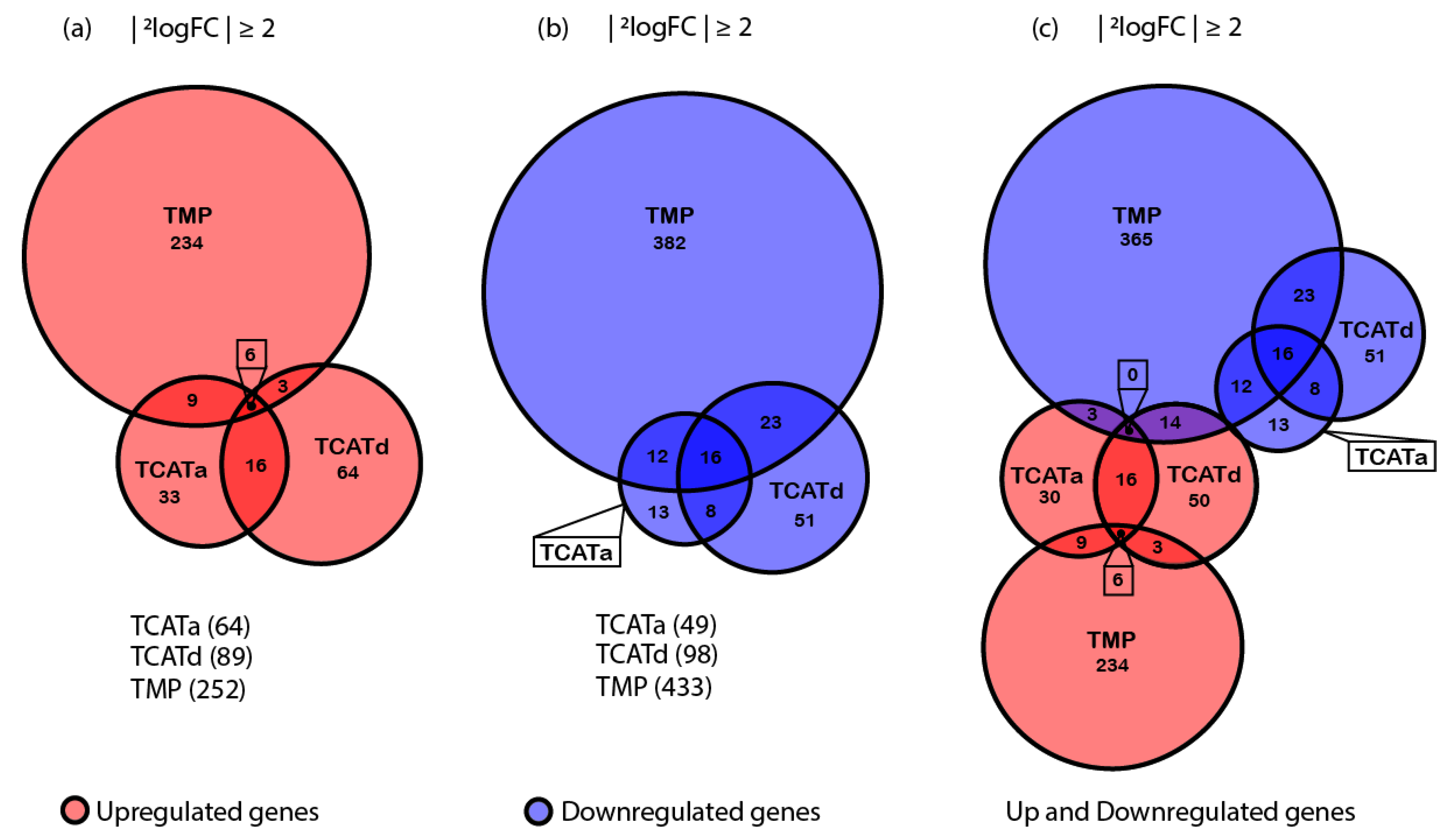 Pharmaceuticals 14 00392 g004