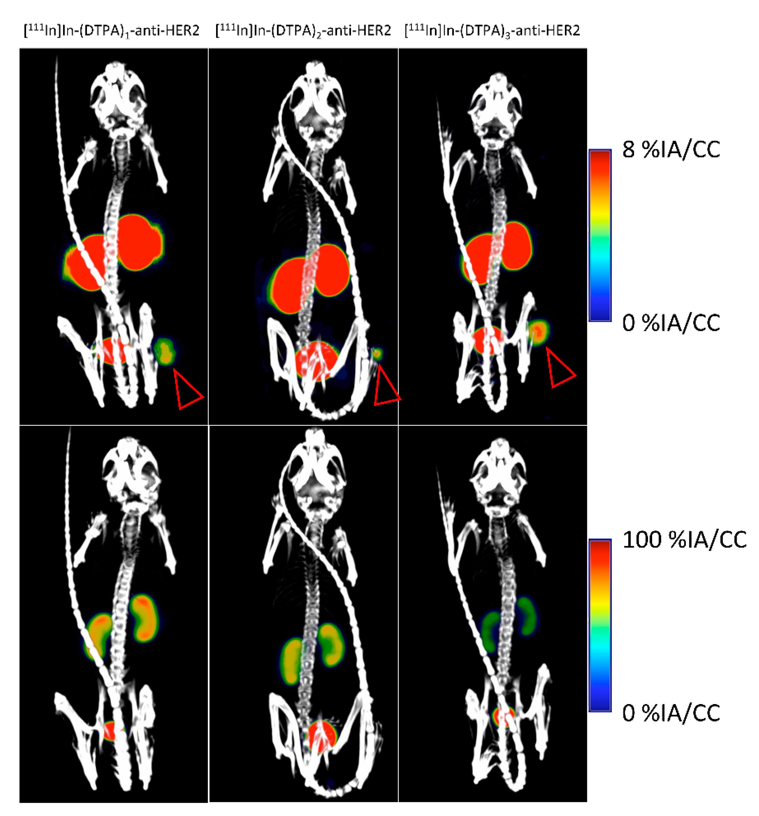Pharmaceuticals 14 00407 g005