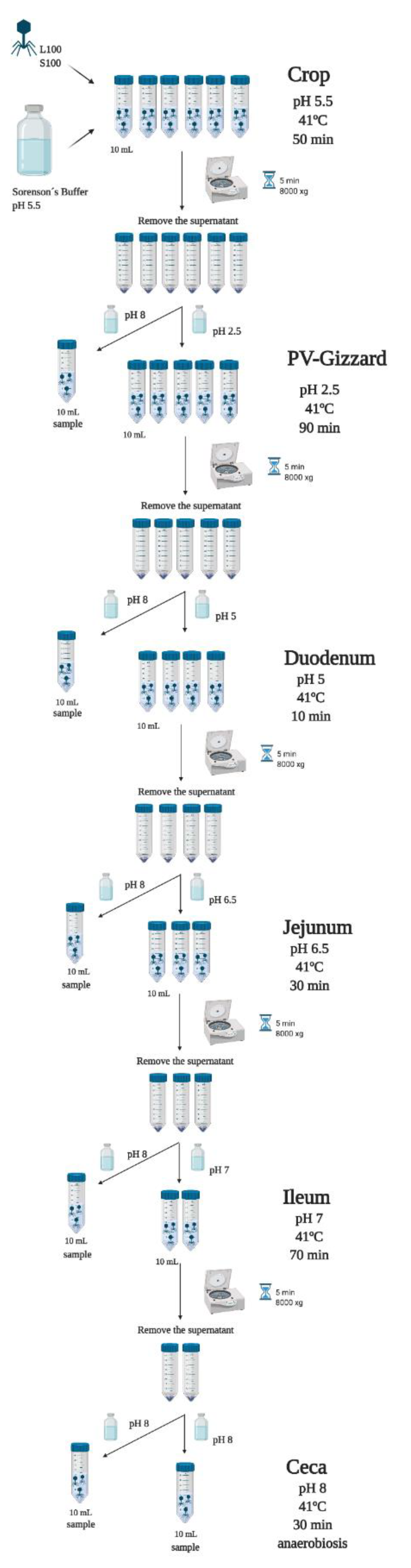 Pharmaceuticals 14 00434 g004