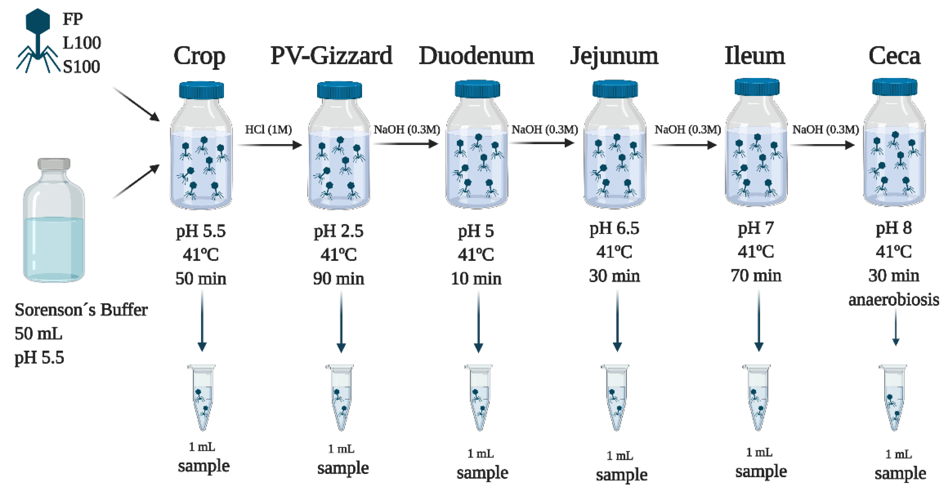 Pharmaceuticals 14 00434 g005