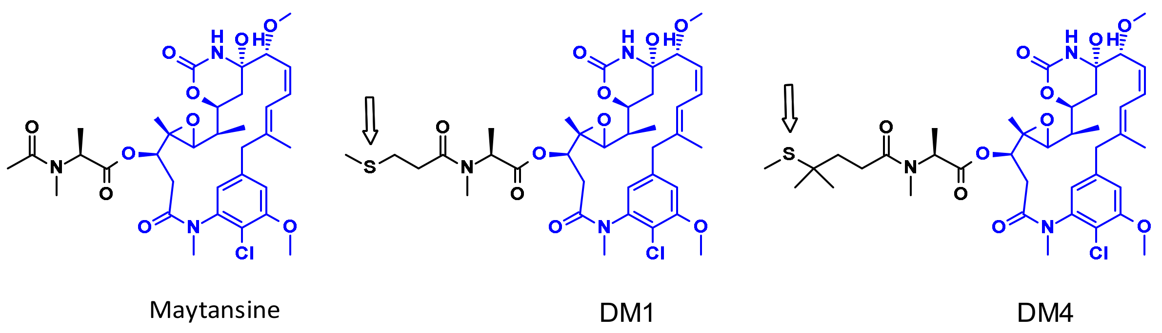 Pharmaceuticals 14 00442 g008 Pharmaceuticals 14 00442 g008
