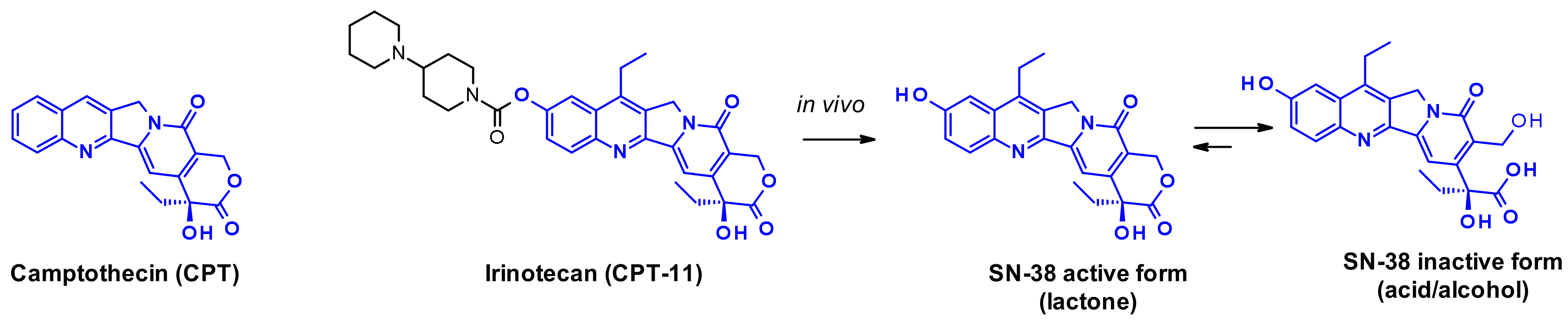 Pharmaceuticals 14 00442 g023 Pharmaceuticals 14 00442 g023