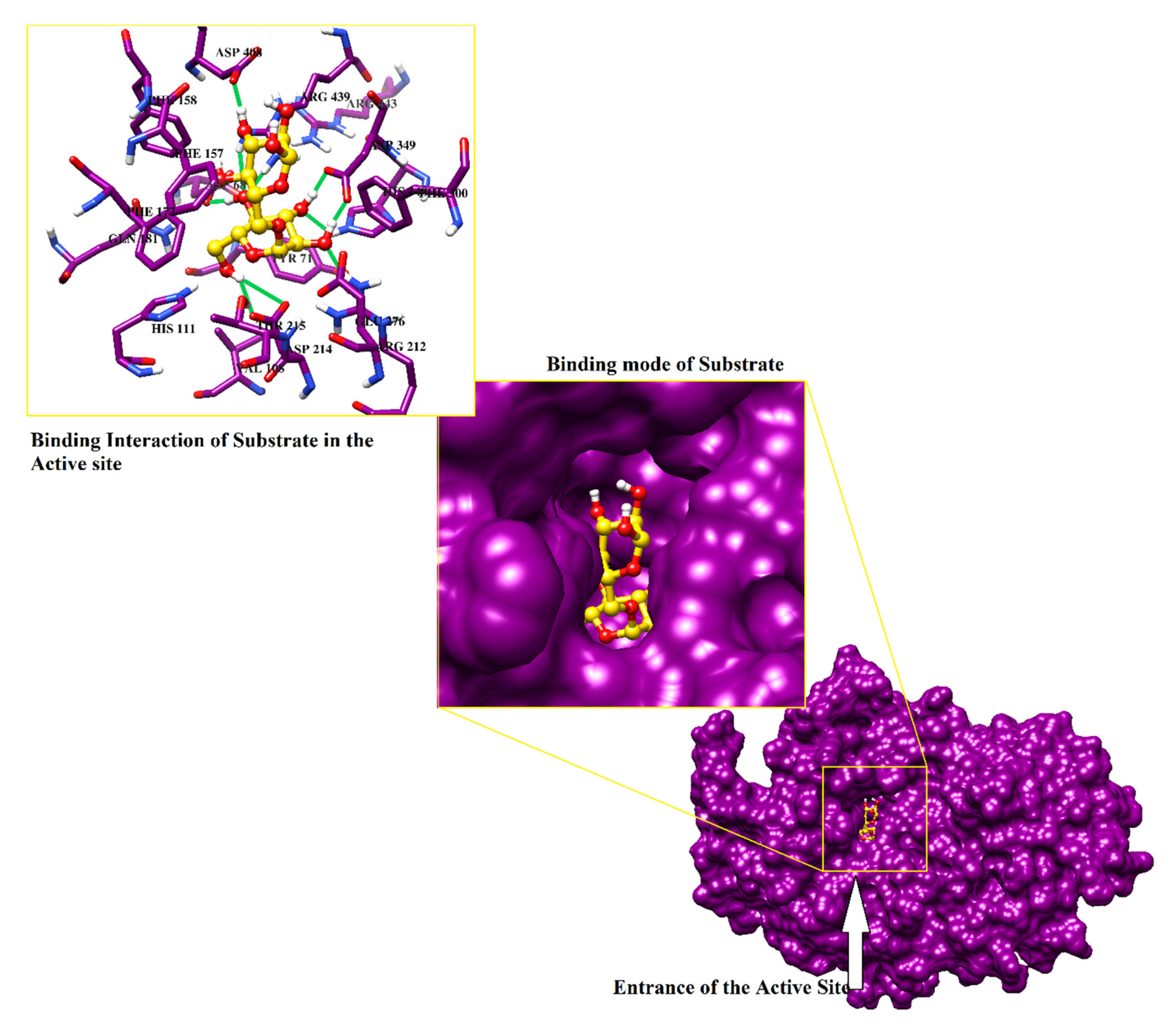 Pharmaceuticals 14 00482 g003 Pharmaceuticals 14 00482 g003