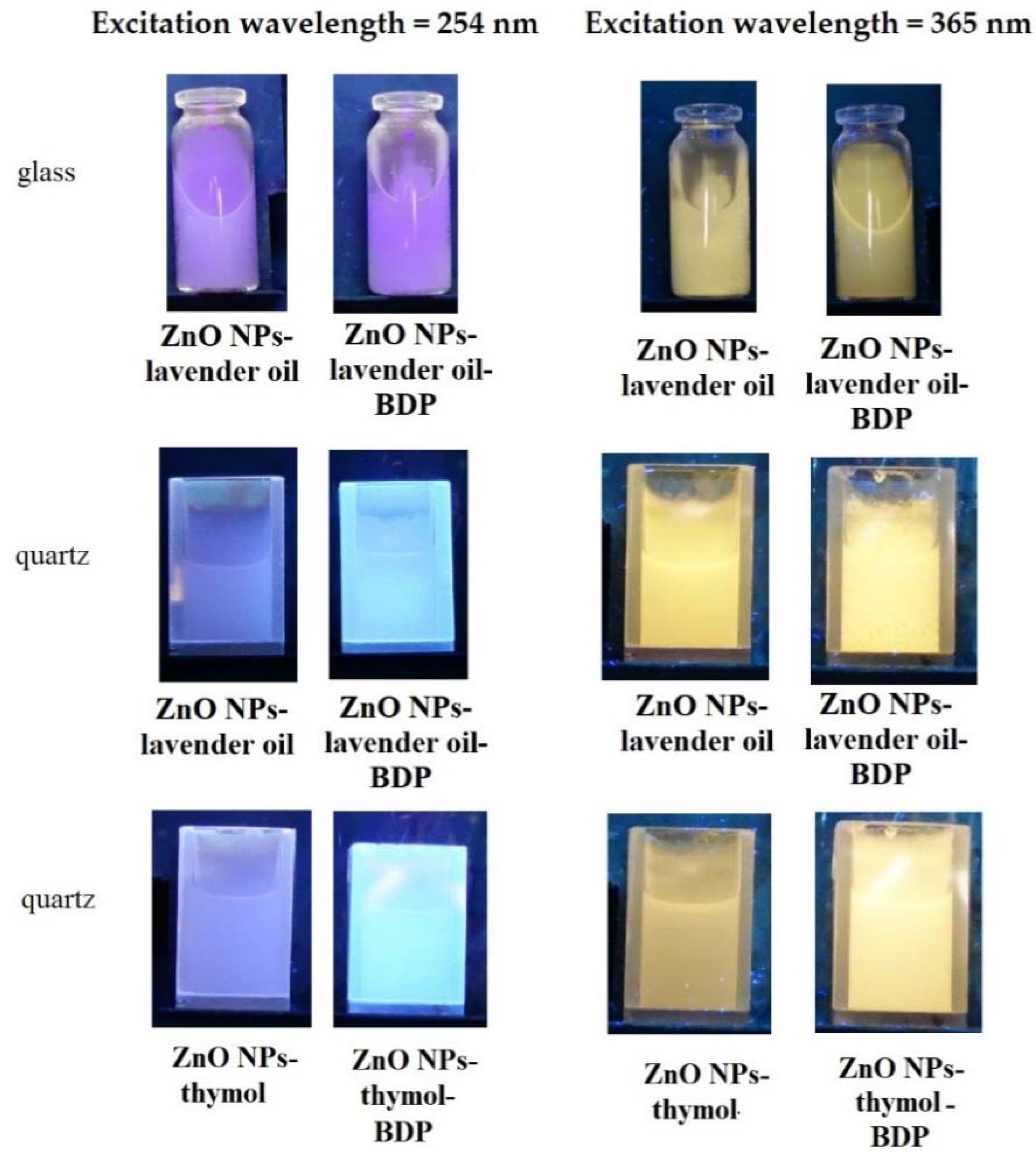 Pharmaceuticals 14 00492 g006