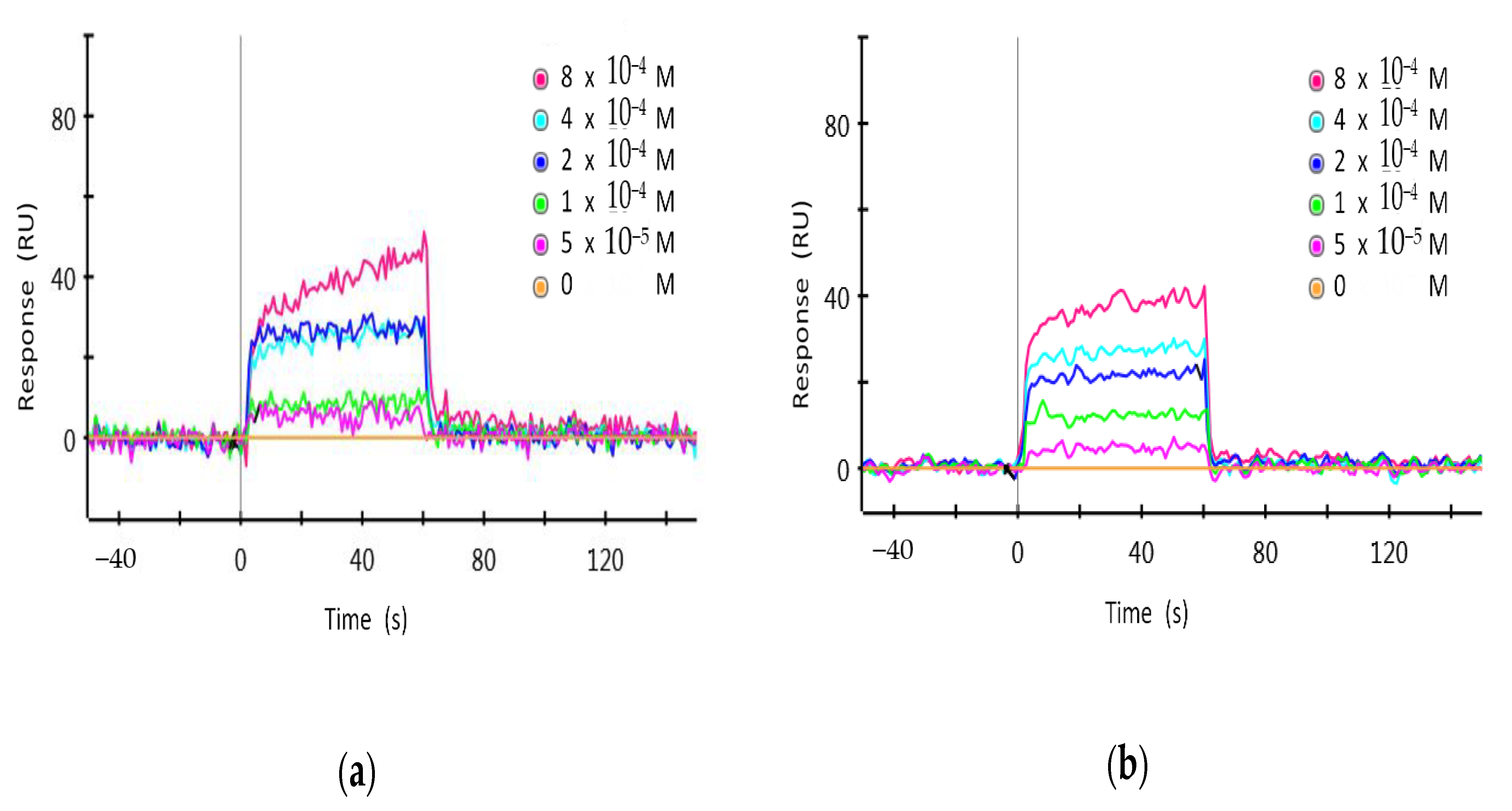Pharmaceuticals 14 00496 g004
