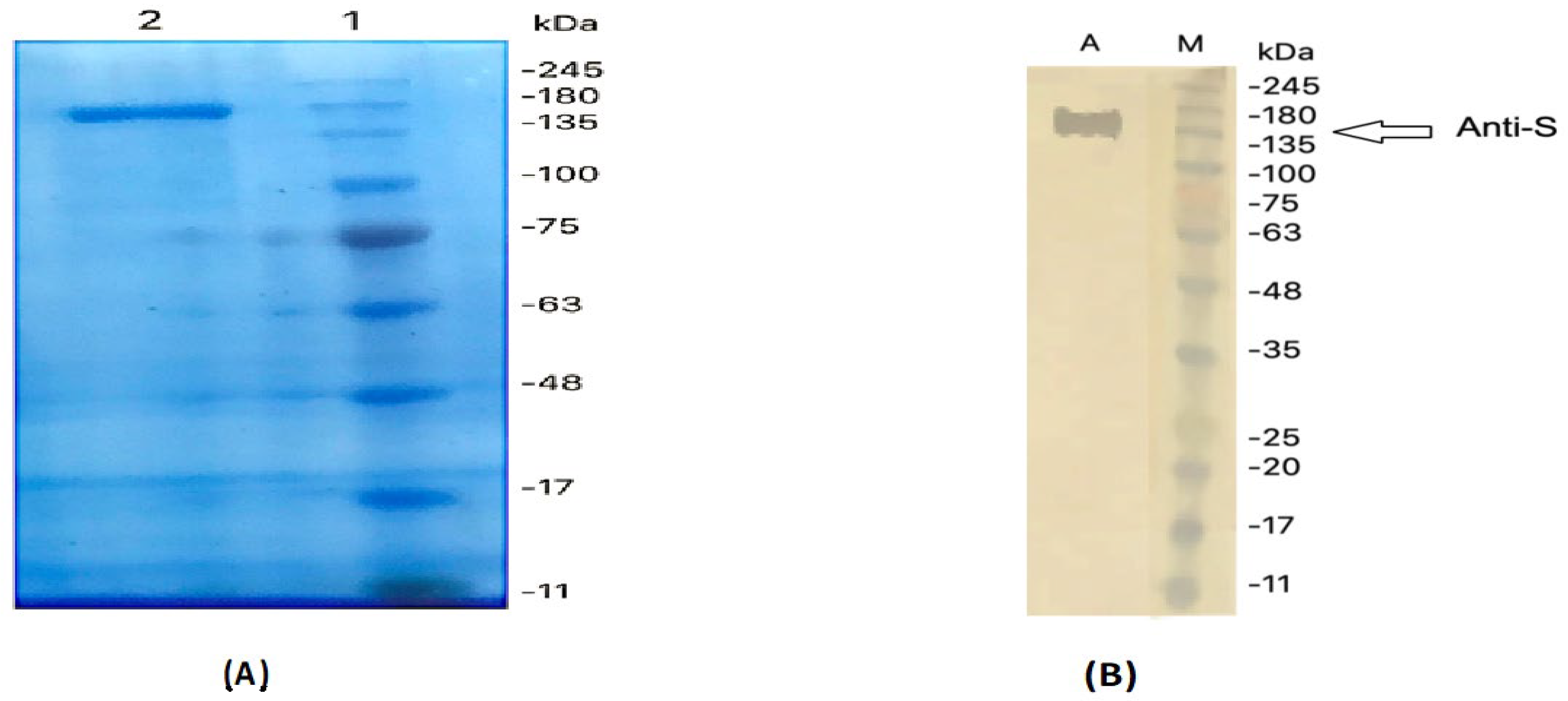 Pharmaceuticals 14 00511 g003