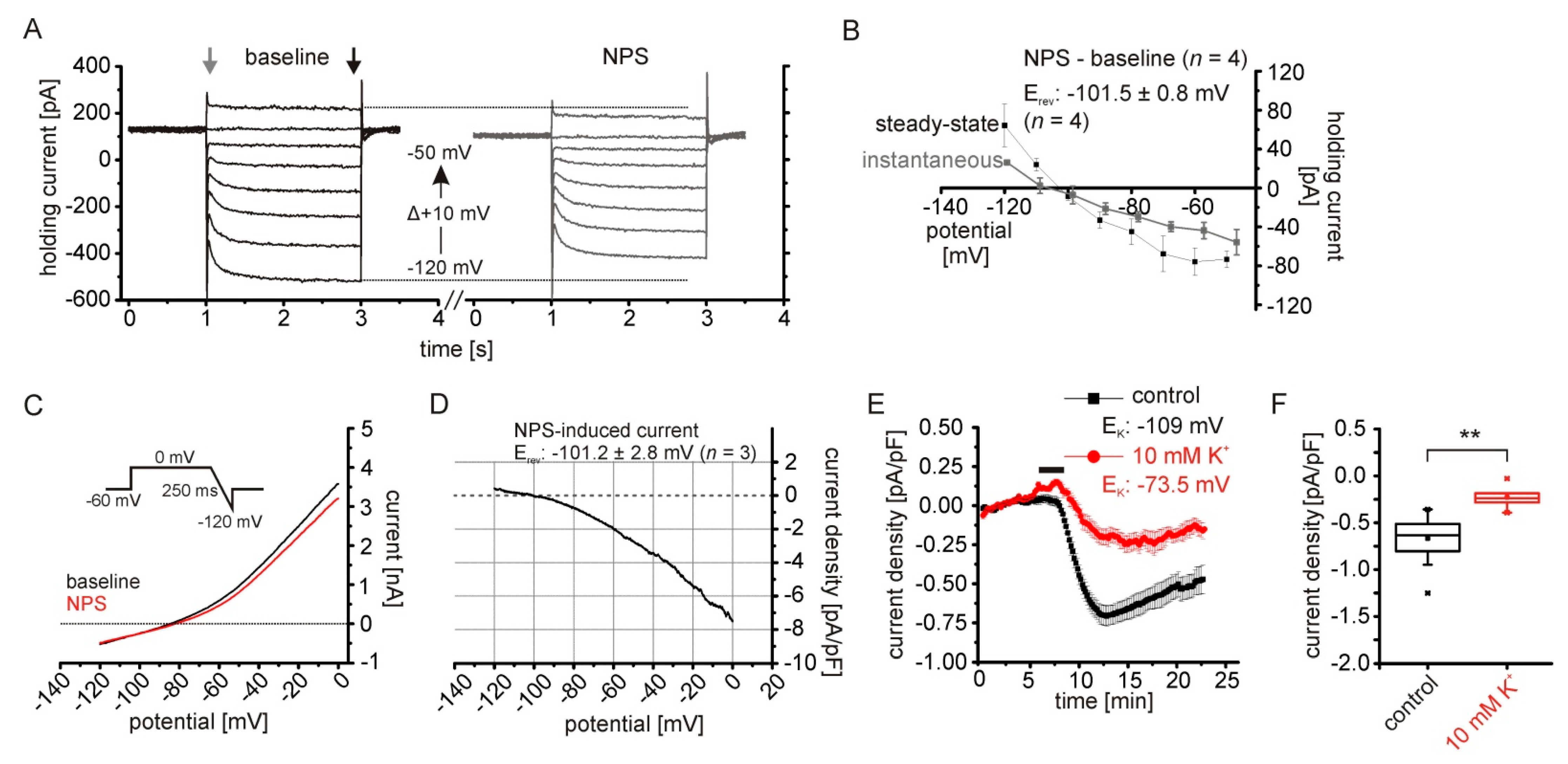 Pharmaceuticals 14 00519 g002 Pharmaceuticals 14 00519 g002