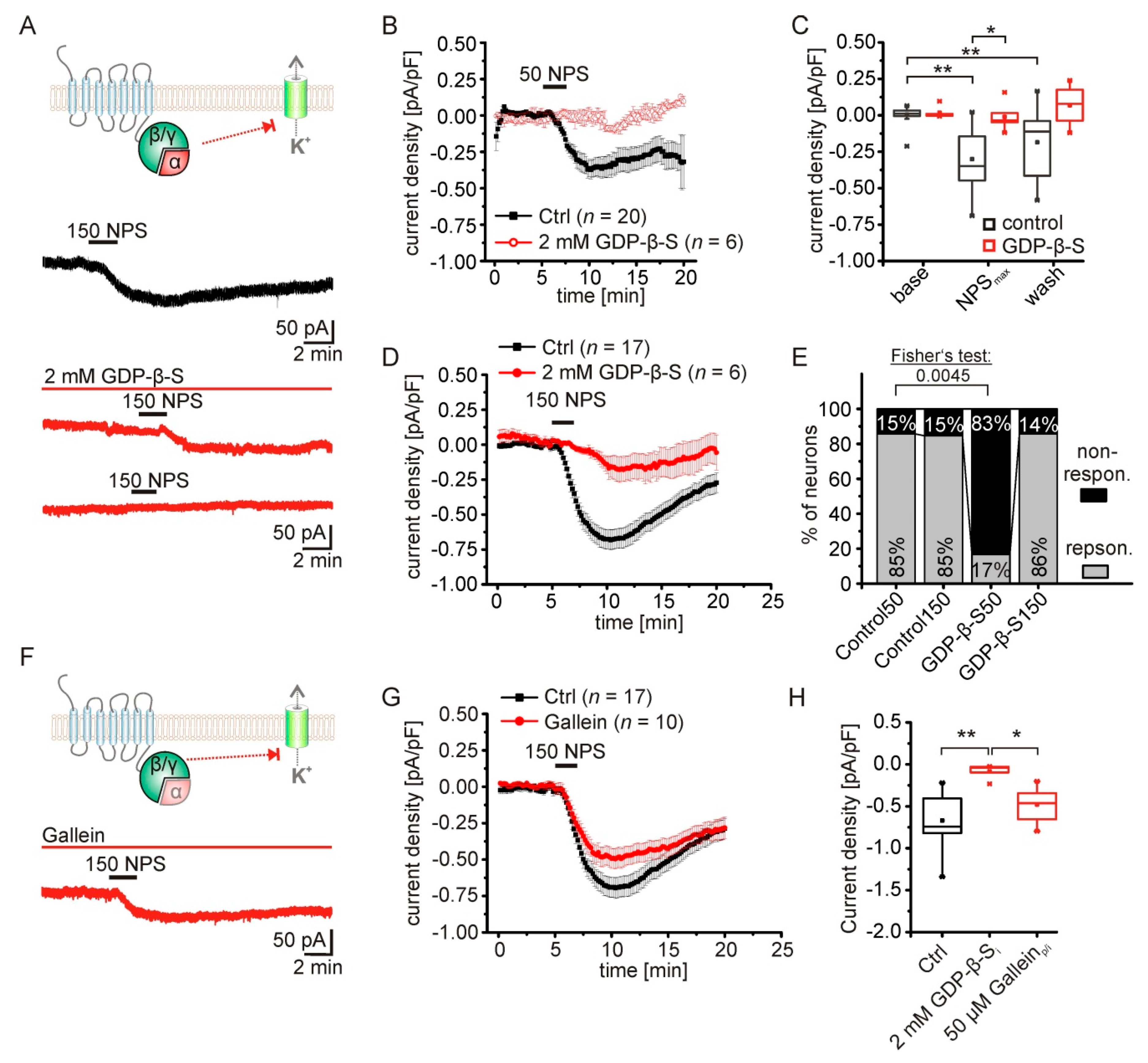 Pharmaceuticals 14 00519 g003 Pharmaceuticals 14 00519 g003