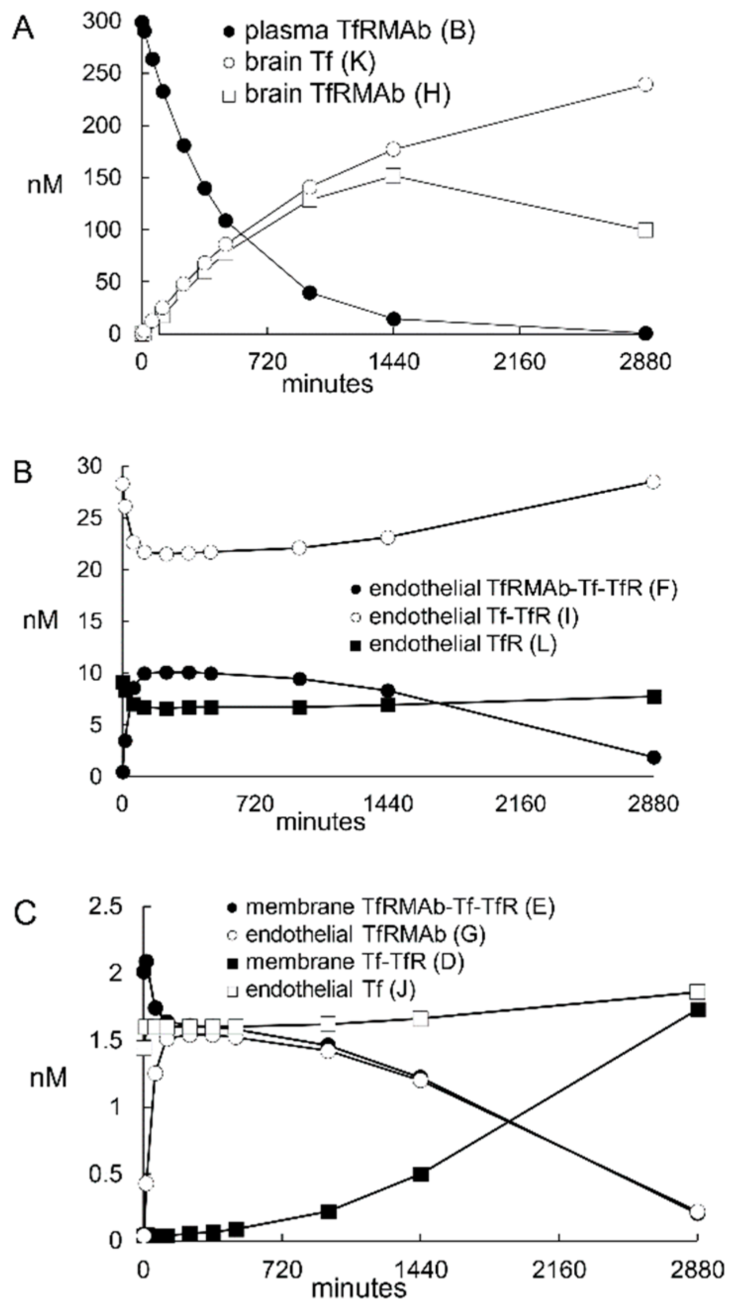 Pharmaceuticals Free Full Text Mathematical Models Of Blood Brain Barrier Transport Of Monoclonal Antibodies Targeting The Transferrin Receptor And The Insulin Receptor Html