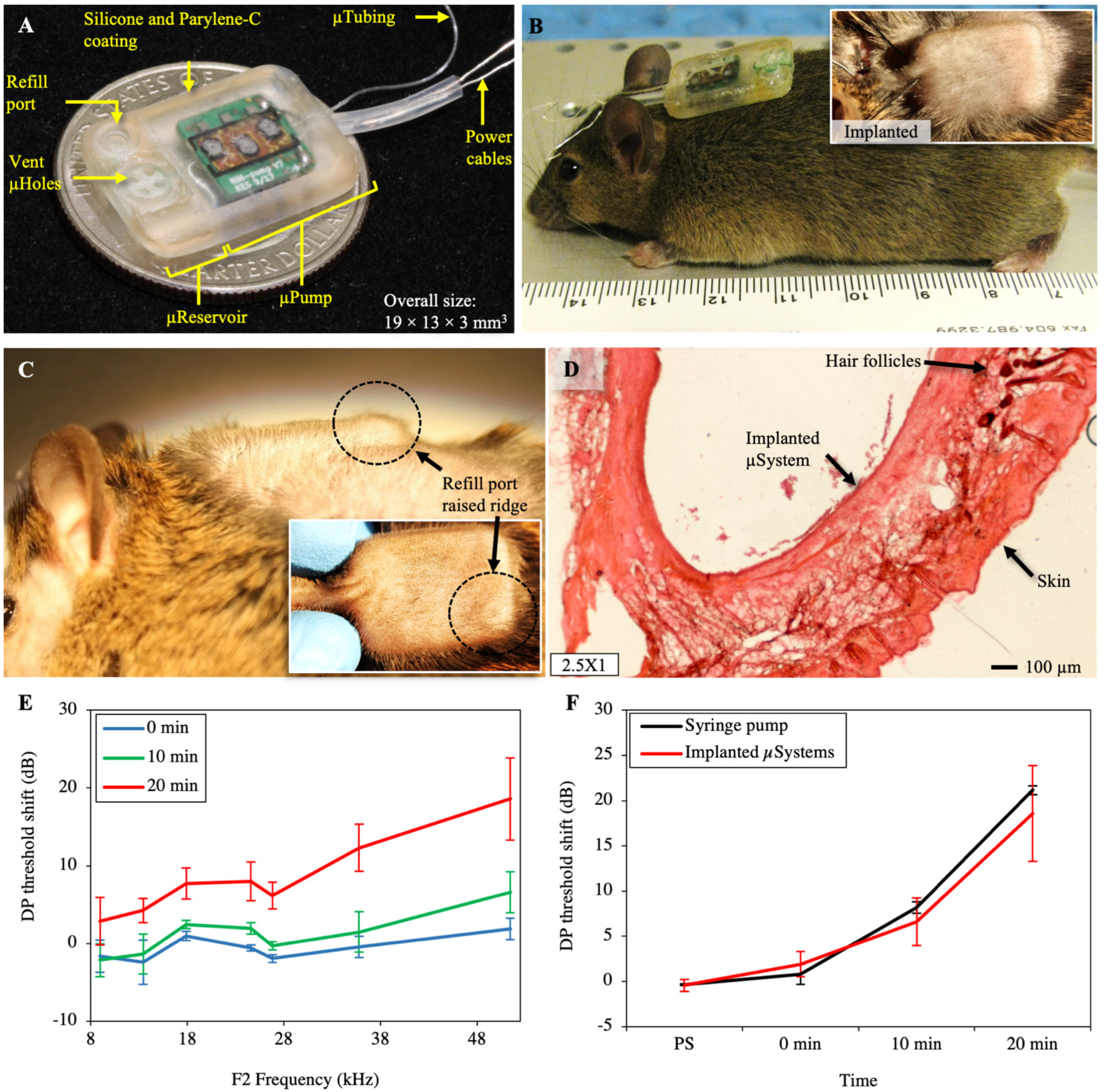 Pharmaceuticals 14 00538 g003