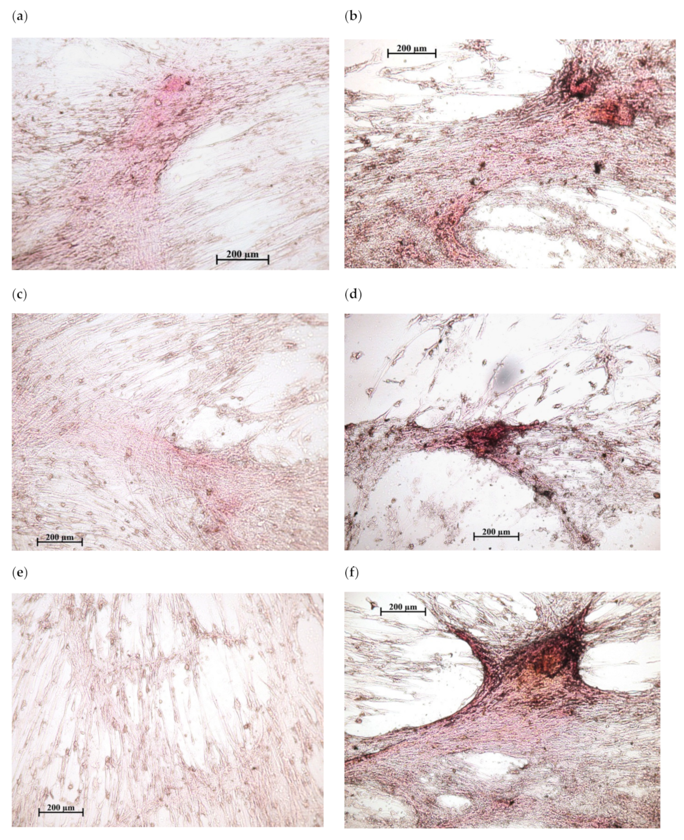 Pharmaceuticals 14 00579 g003