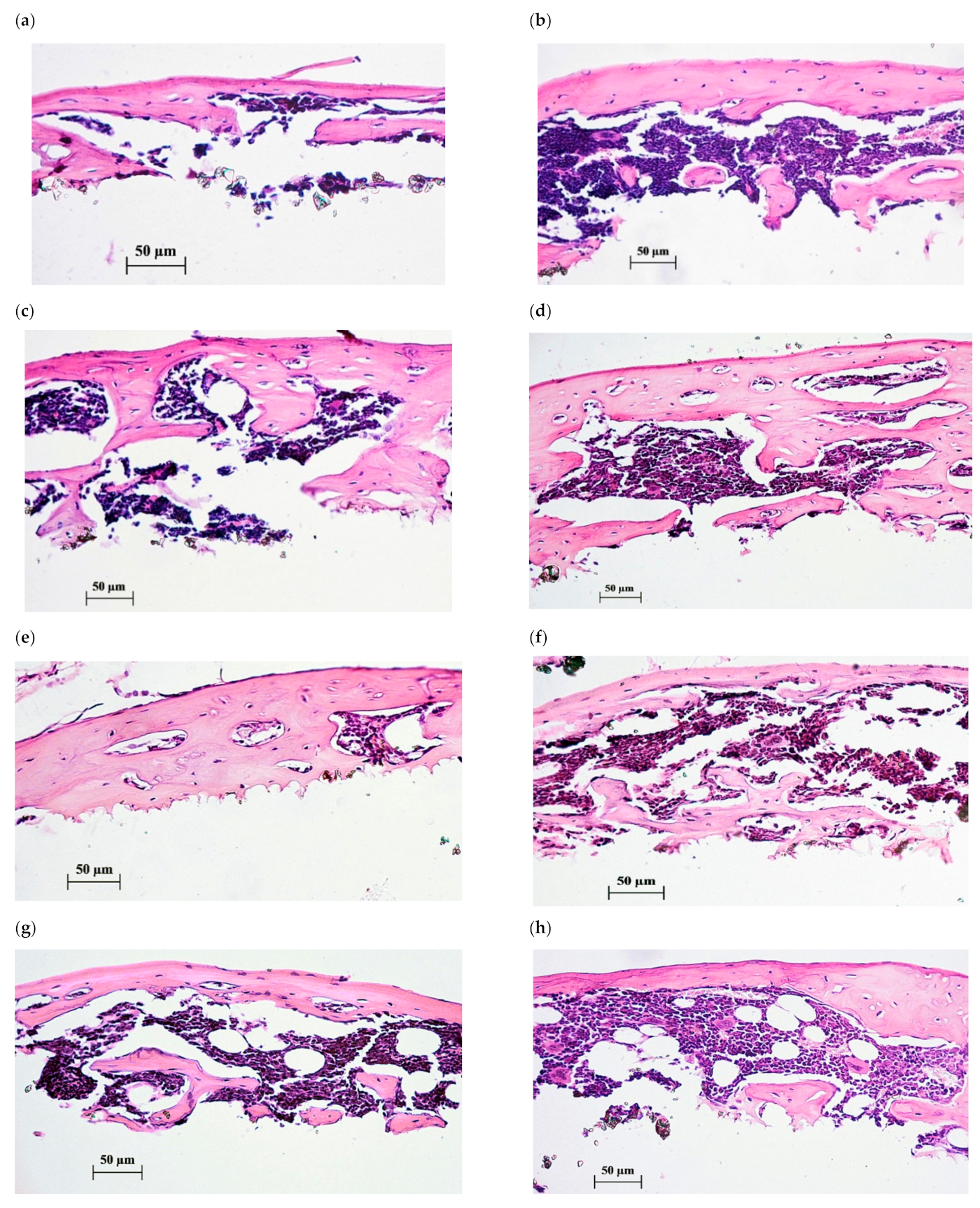 Pharmaceuticals 14 00579 g004